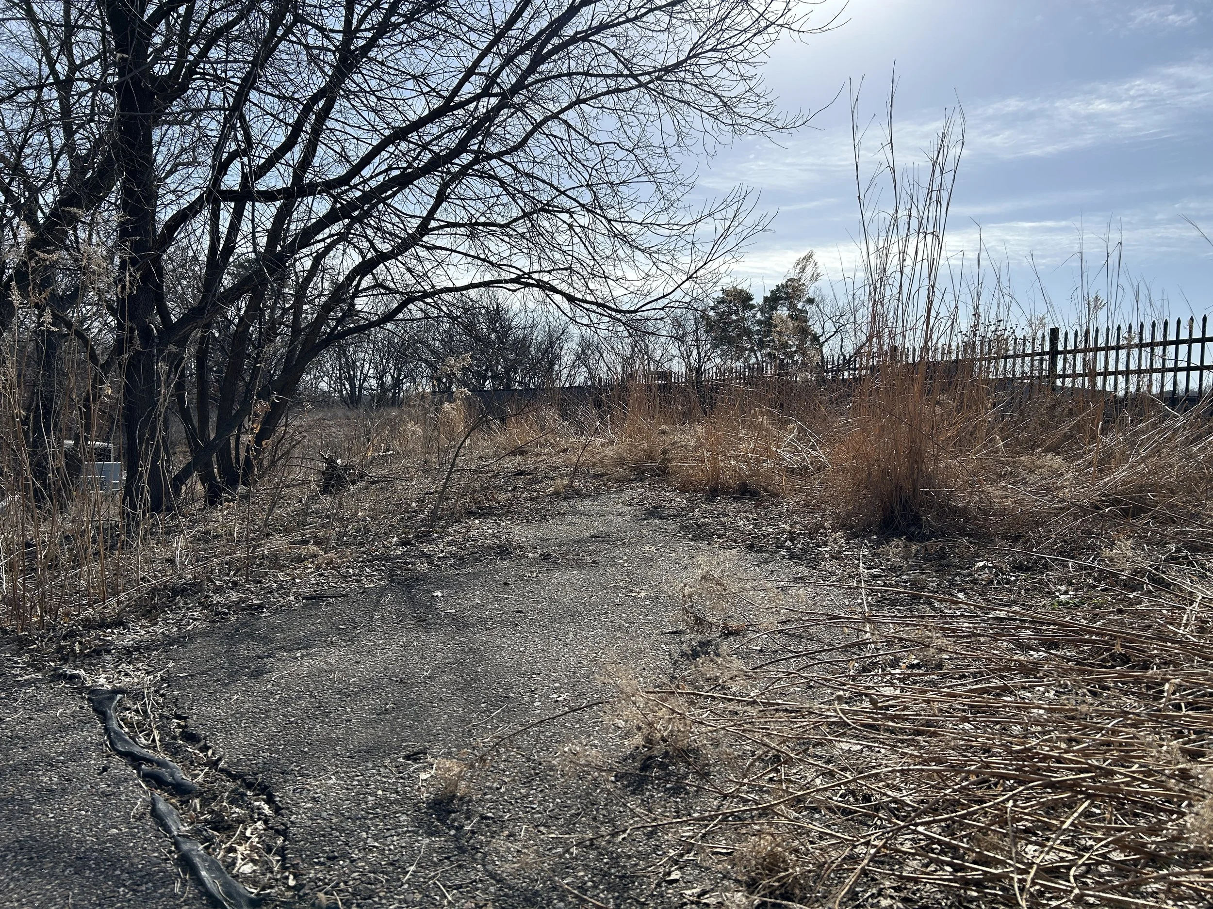 A dirt path with dry grass on the sides, leafless trees on the left, a black metal fence on the right, under a partly cloudy sky.