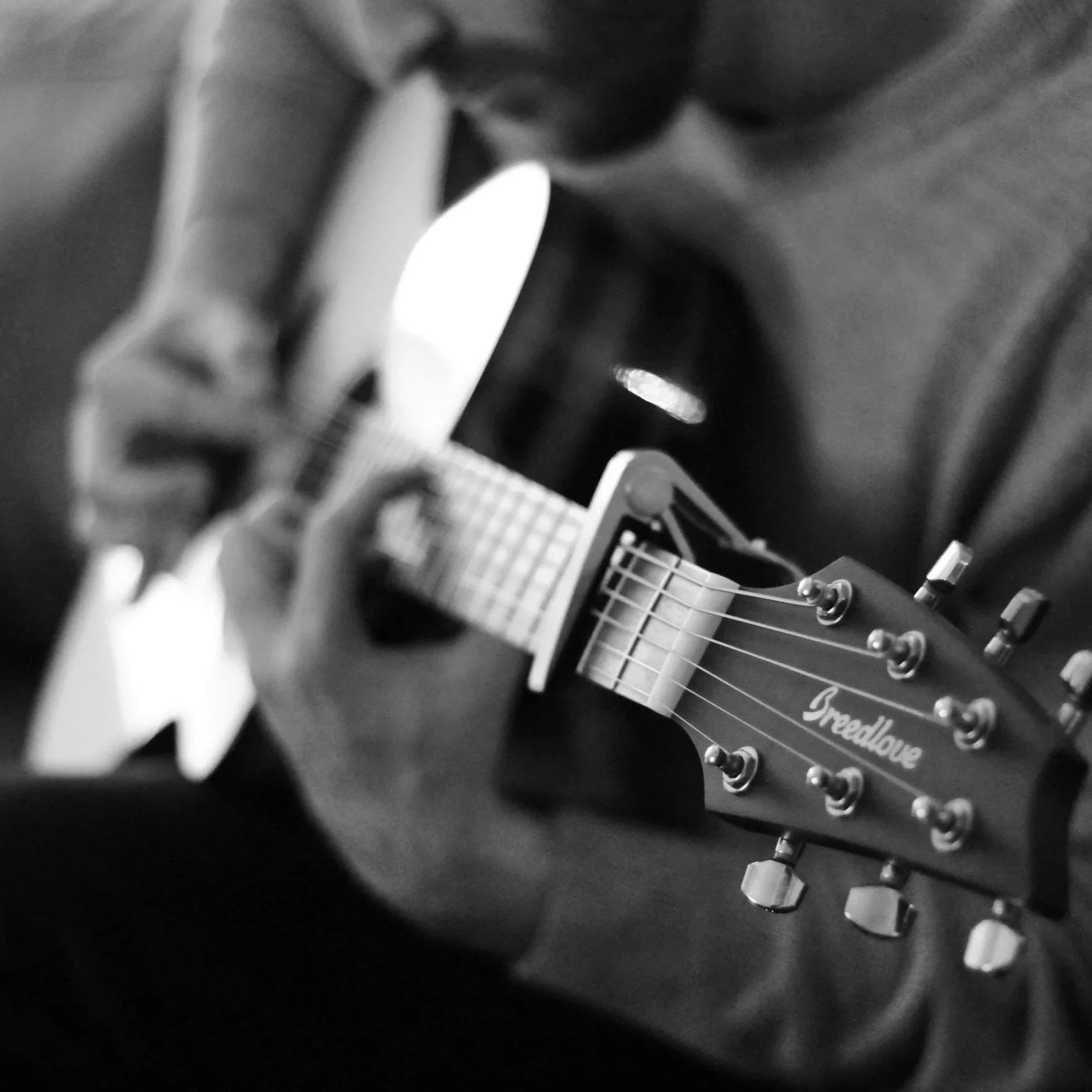 Close-up of a guitar neck with tuning pegs, the headstock displays the brand 'Breedlove' and shows the tuning pegs with strings attached.