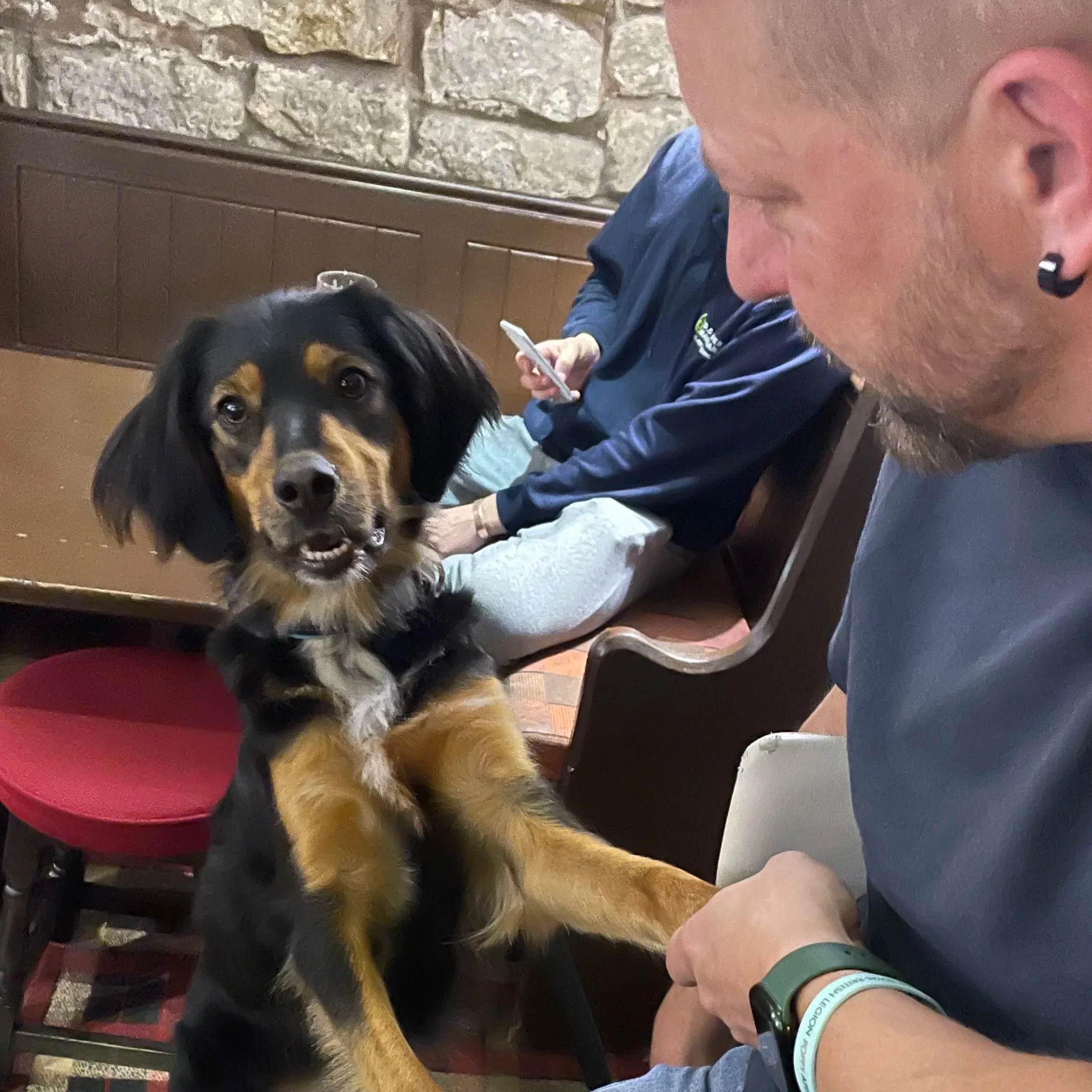 A black and tan puppy with floppy ears and bright eyes sits on a person's lap inside a cozy, rustic room with stone walls. The person is wearing a gray shirt and a green wristband, and is gently holding the puppy's paw while looking at it. In the bac