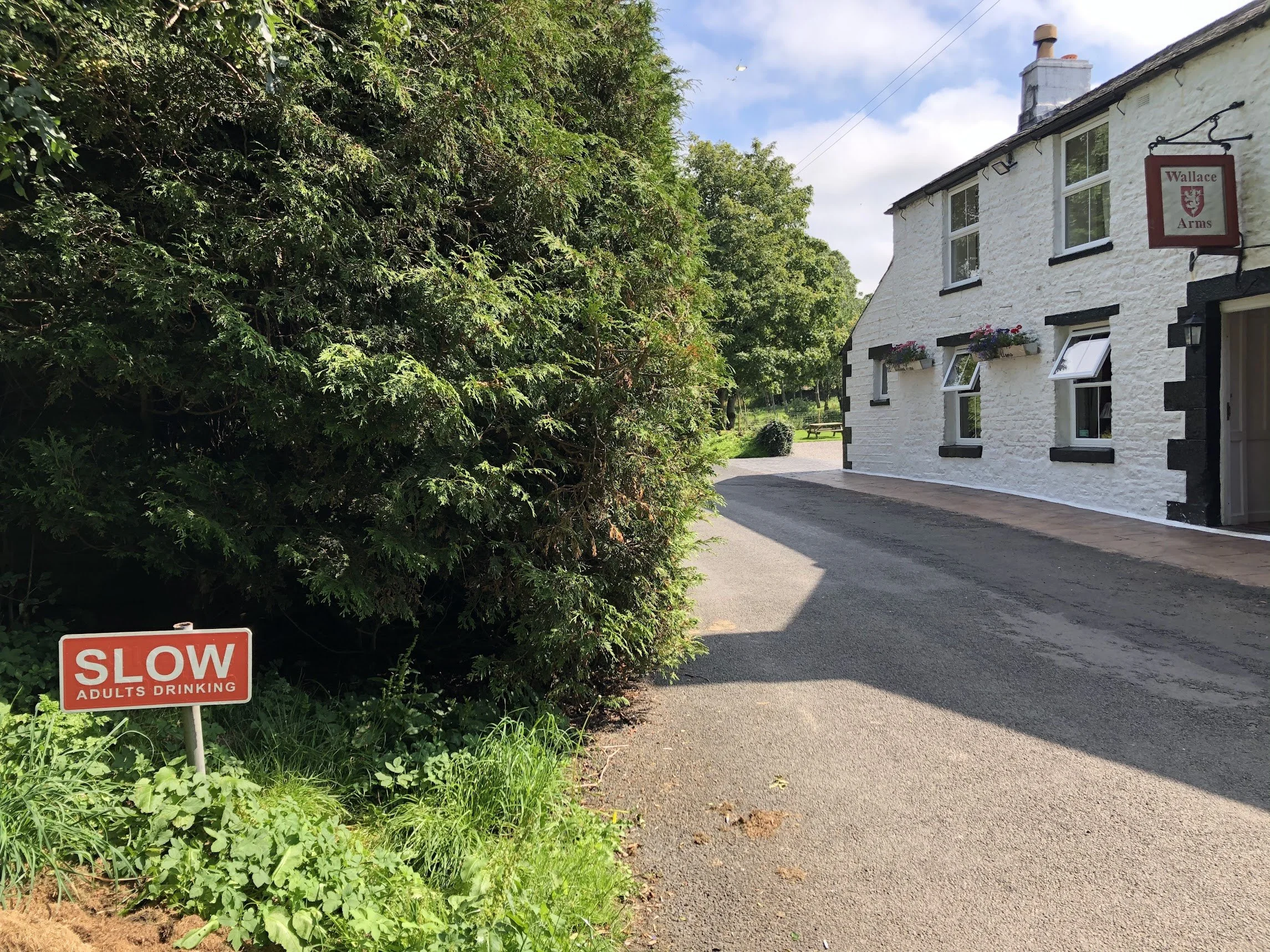 A gravel pathway next to a large green bush with a red sign that reads 'SLOW ADULTS DRINKING,' adjacent to a white brick building with black window frames, flower boxes, and a hanging sign for Wallace Arms, with a bright sky and trees in the background.