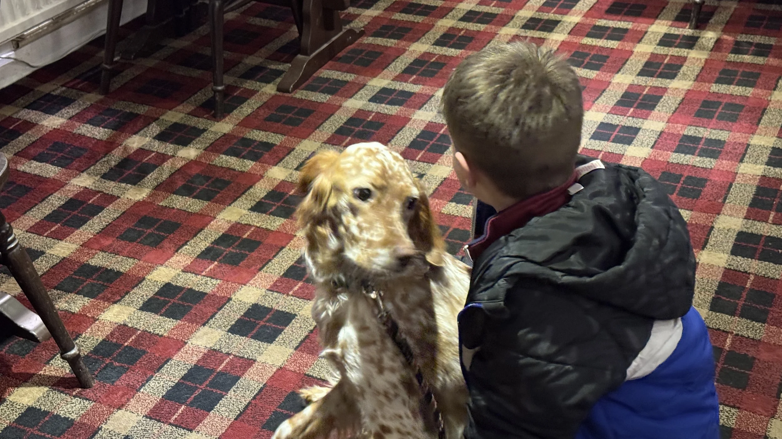 A young boy is kneeling on a red, black, and beige patterned carpet, facing a large, brown and white spotted dog. The boy has short dark hair and is wearing a black jacket with a maroon collar and blue pants. The dog appears to be a Cocker Spaniel, a