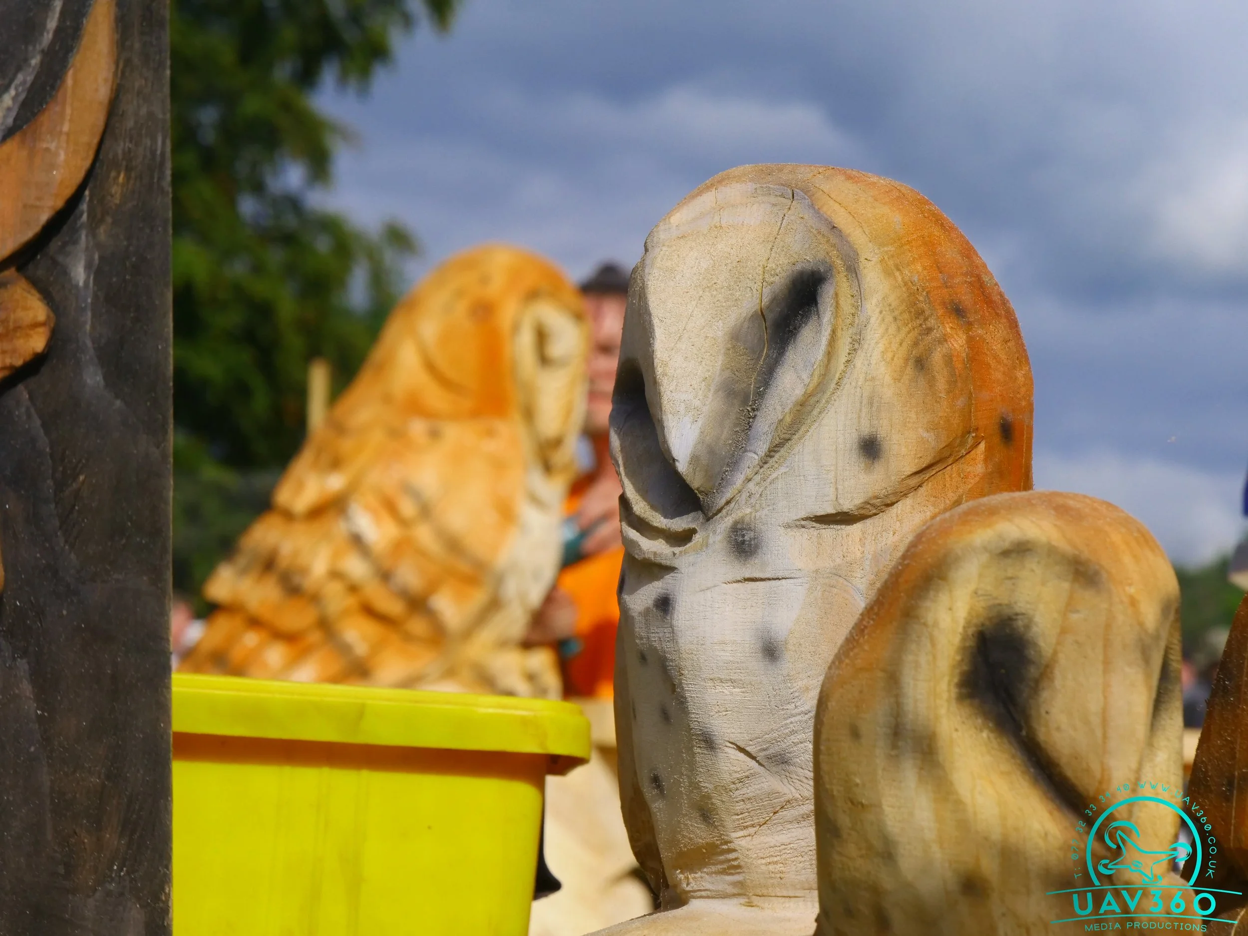 Close-up of carved wooden animal sculptures, with a yellow container and blurred background of trees and a person.