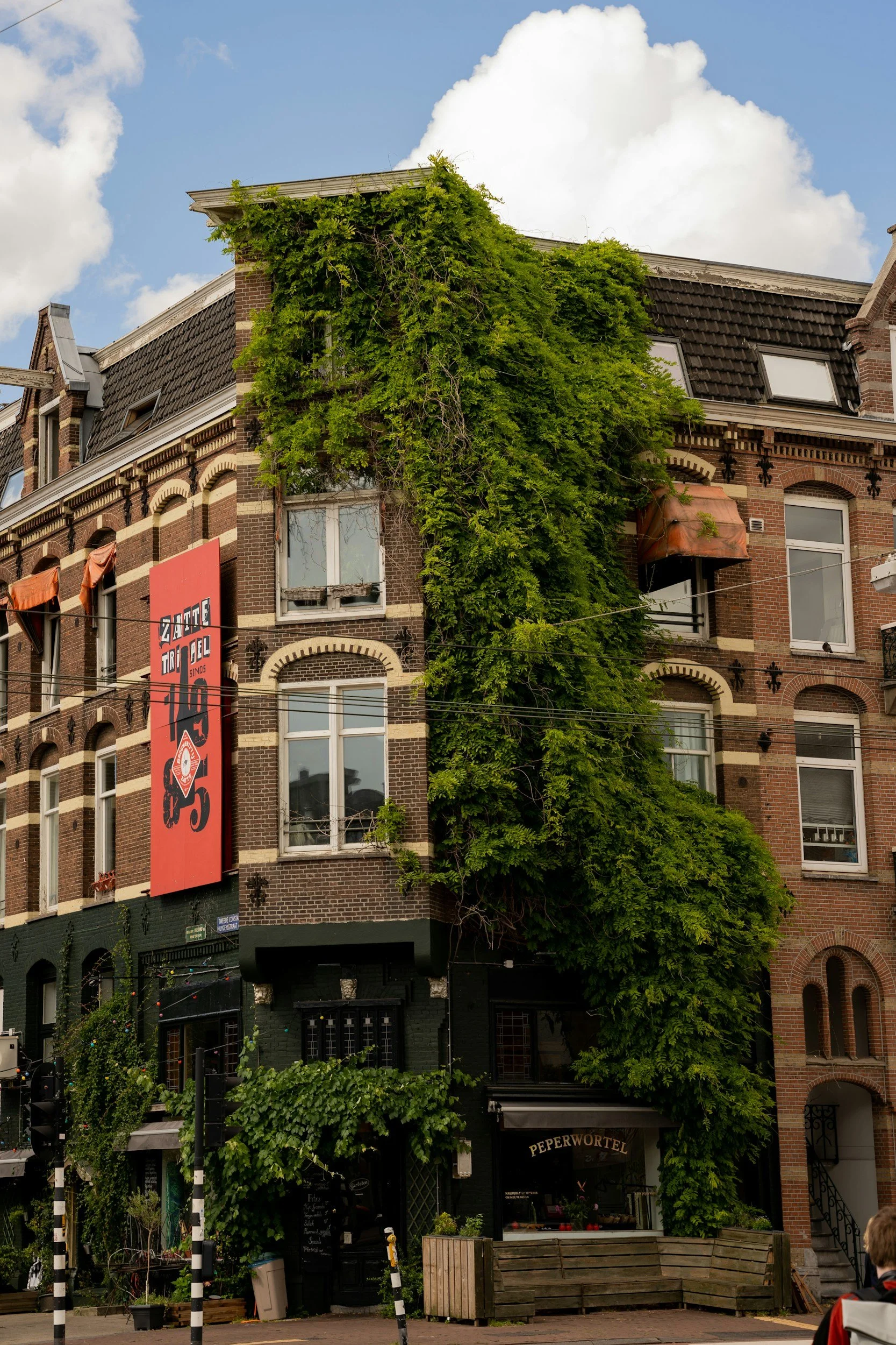 Cognitive Load in Student Work and Why “Over-designing” Is Often a Stress Response