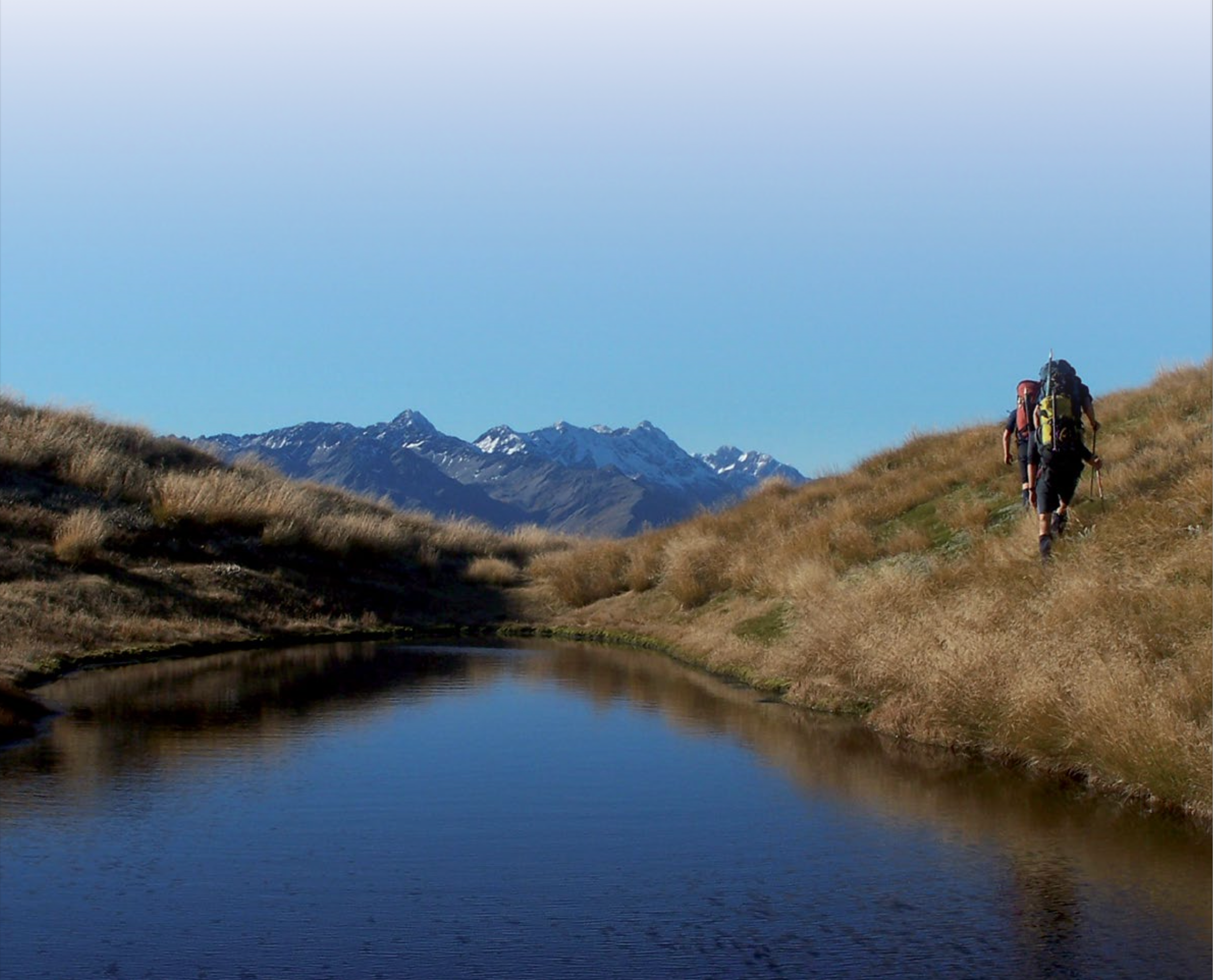 Full-Funnel Growth and Conversion Optimisation