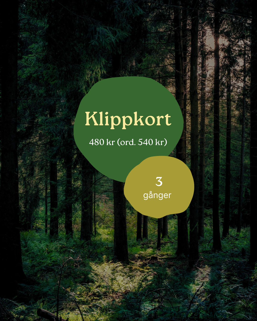 Klippkort 3 gånger