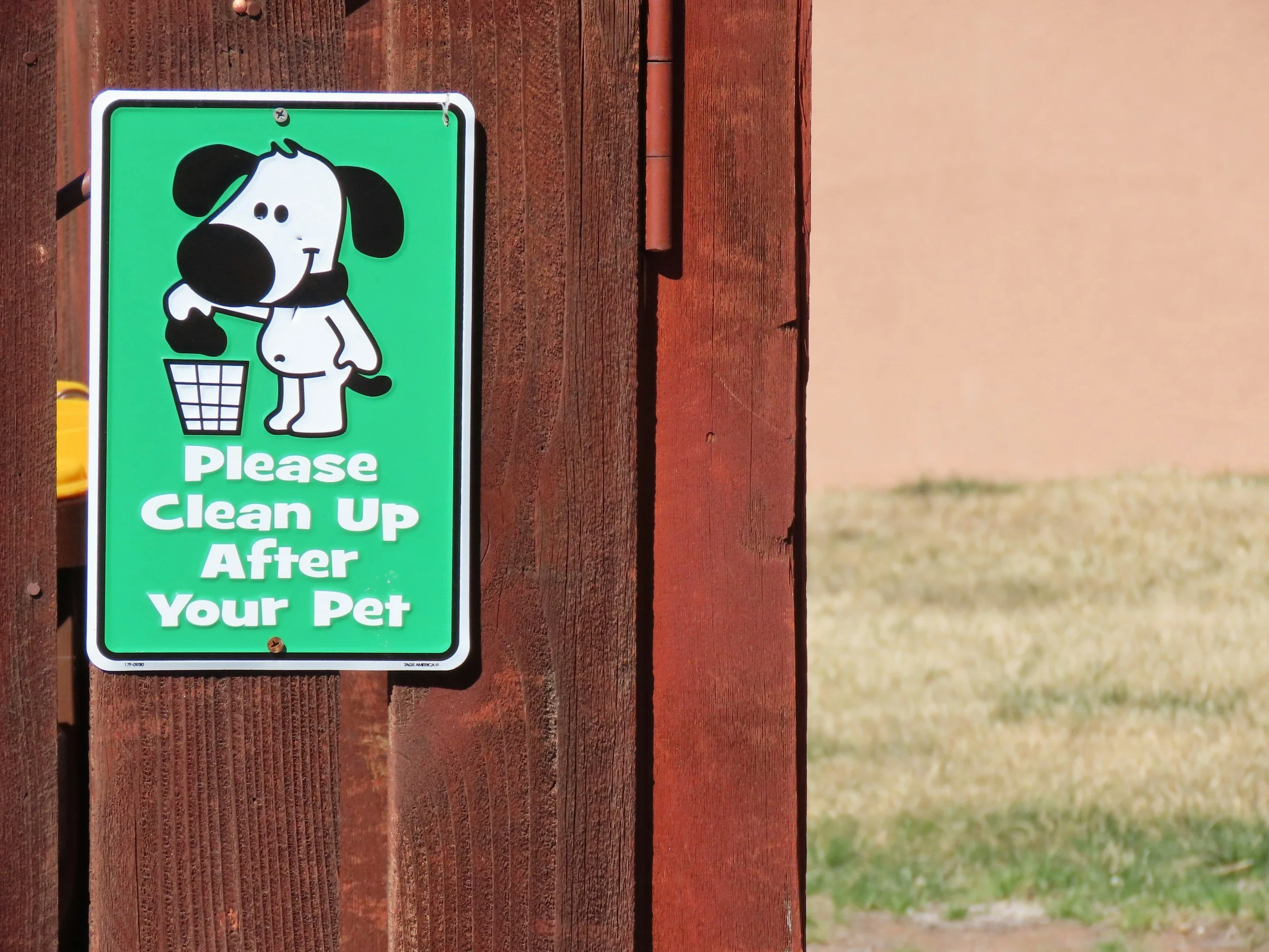 Ultimate Guide to Dog Poo