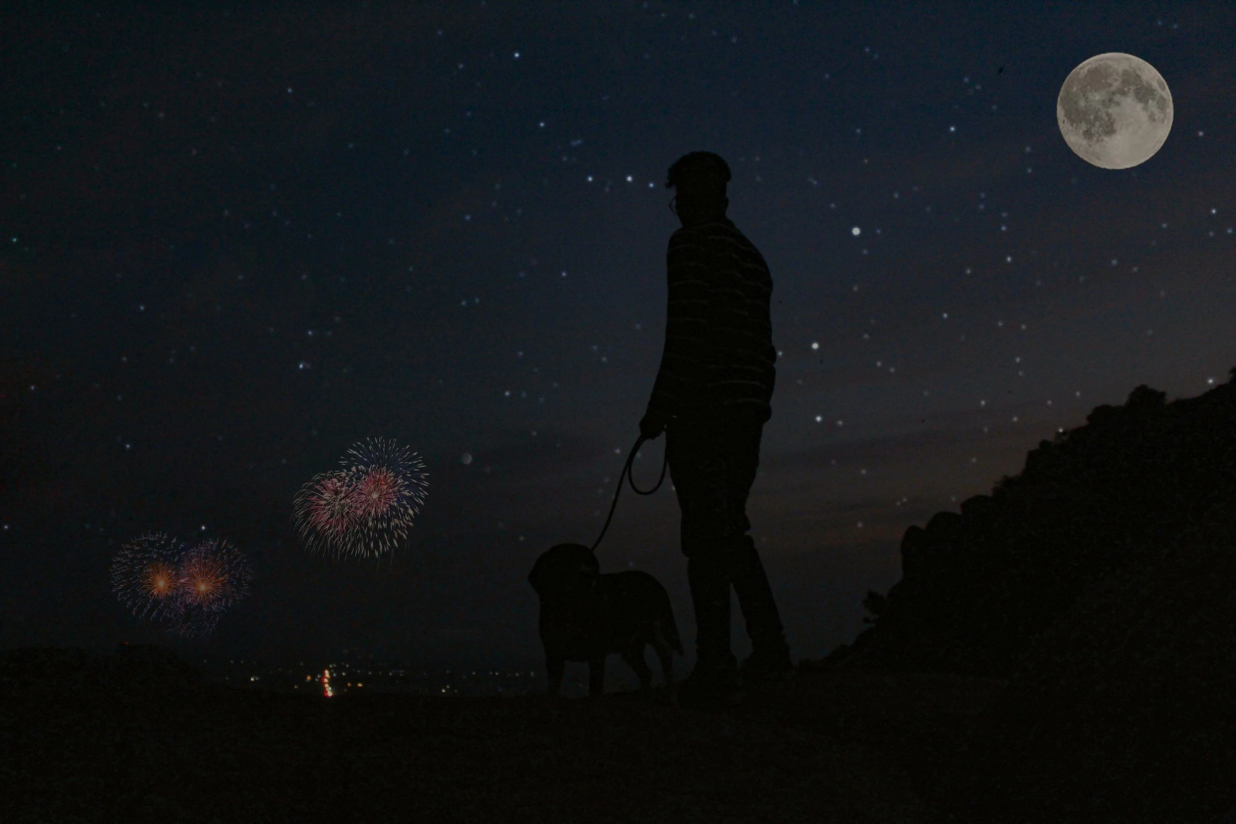 July 4th Pet Safety Tips — Dr. Aziza Glass on Fox Weather