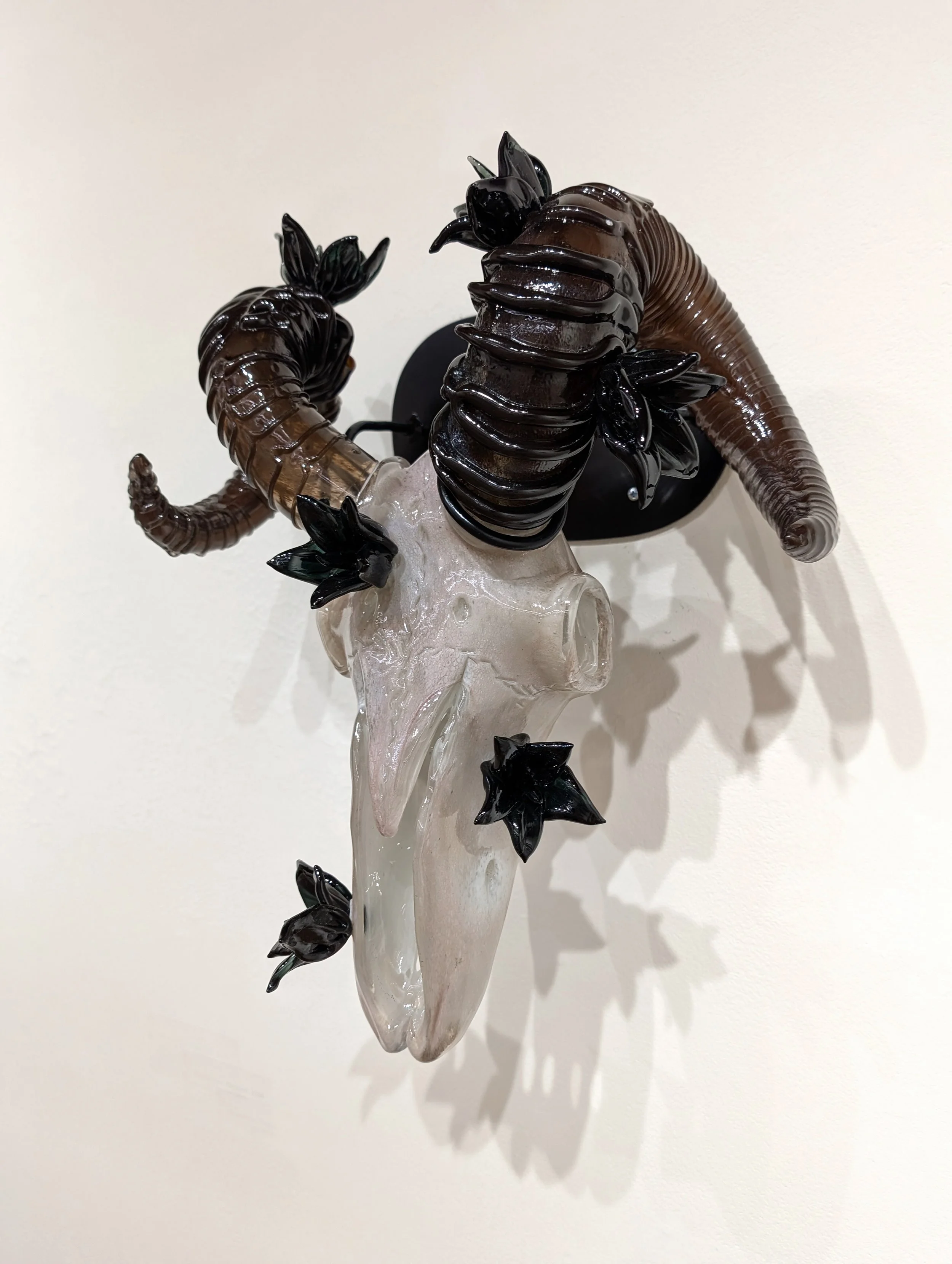 Graveflower Requiem
Hot Sculpted Glass
16” x 14” x 6” (H x W x D)
2024