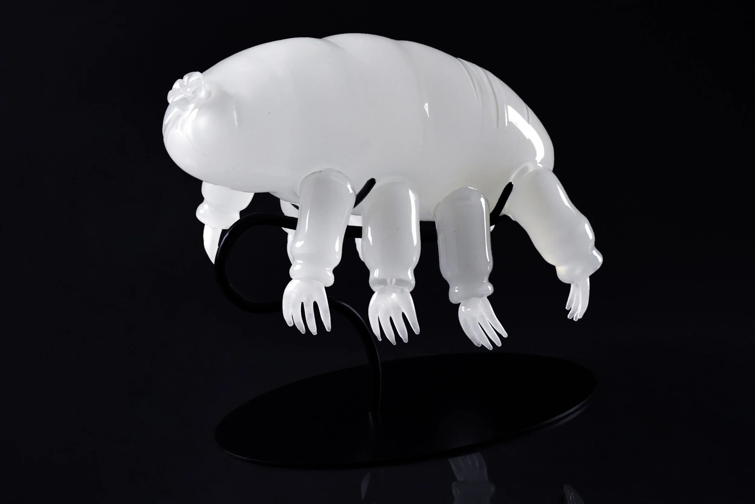 Tardigrade
Hot Sculpted Glass
8” x 14” x 8” (H x L x D)
2023