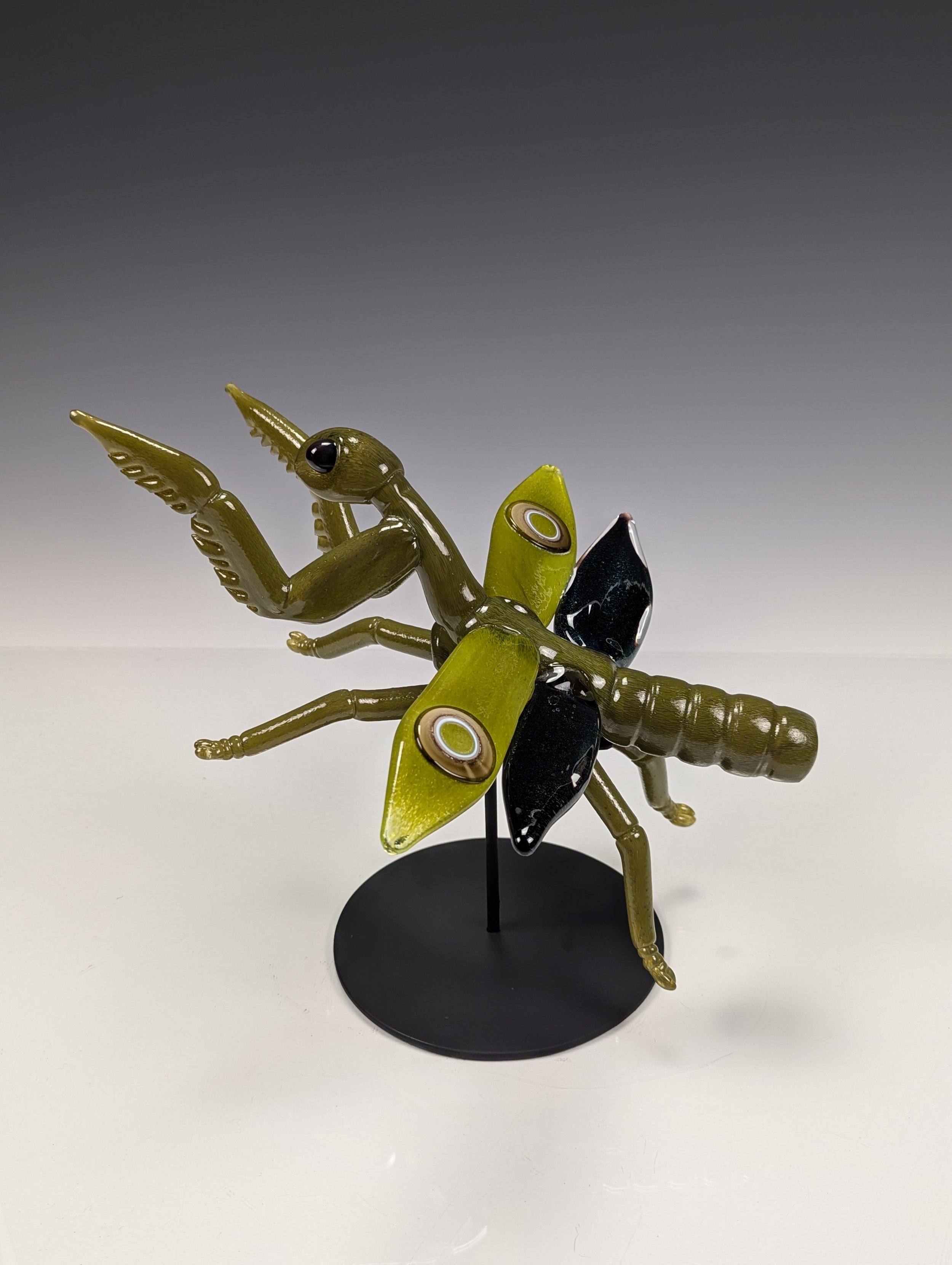Praying Mantis
Hot Sculpted Glass
2025