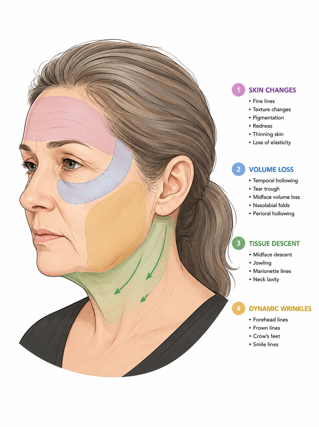 What Actually Makes a Face Look Older? A Surgeon’s Framework for Facial Aging