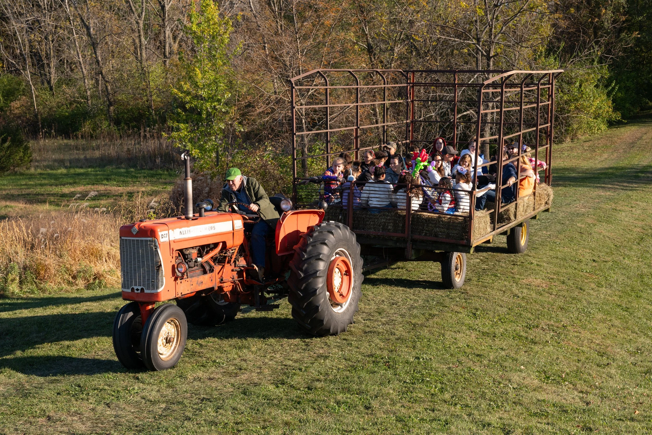 An orange tractor pulling a trailer filled with children and adults on a grassy field during autumn, with trees in the background.