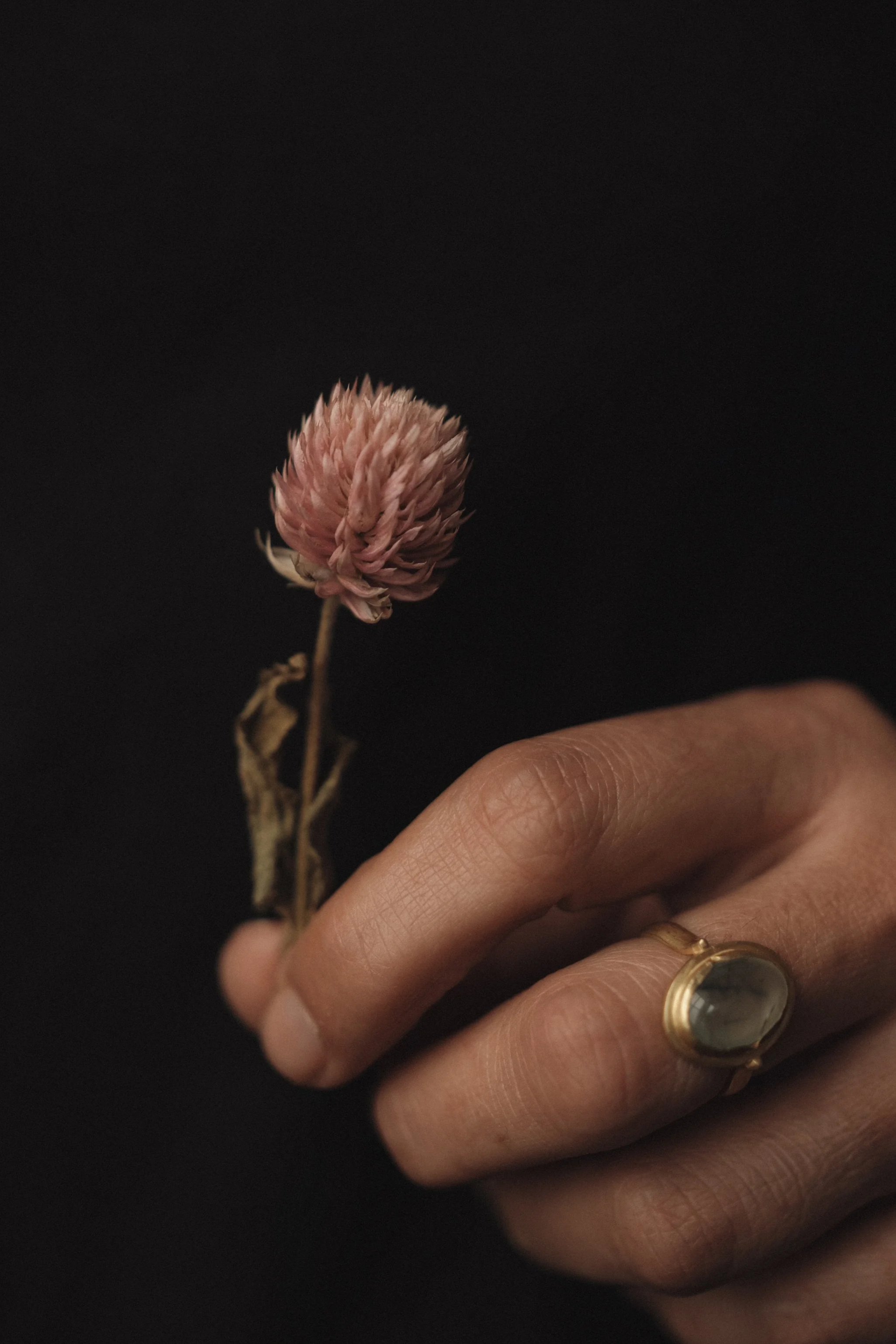 Une main tenant une petite fleur séchée rose foncé contre un fond noir