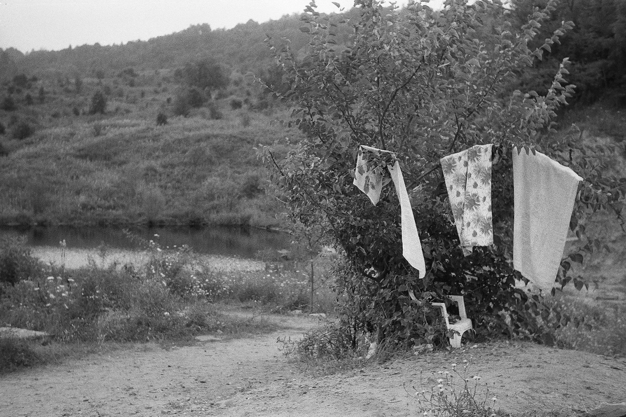 Lacul sărat Telega - Drying spot by middle lake