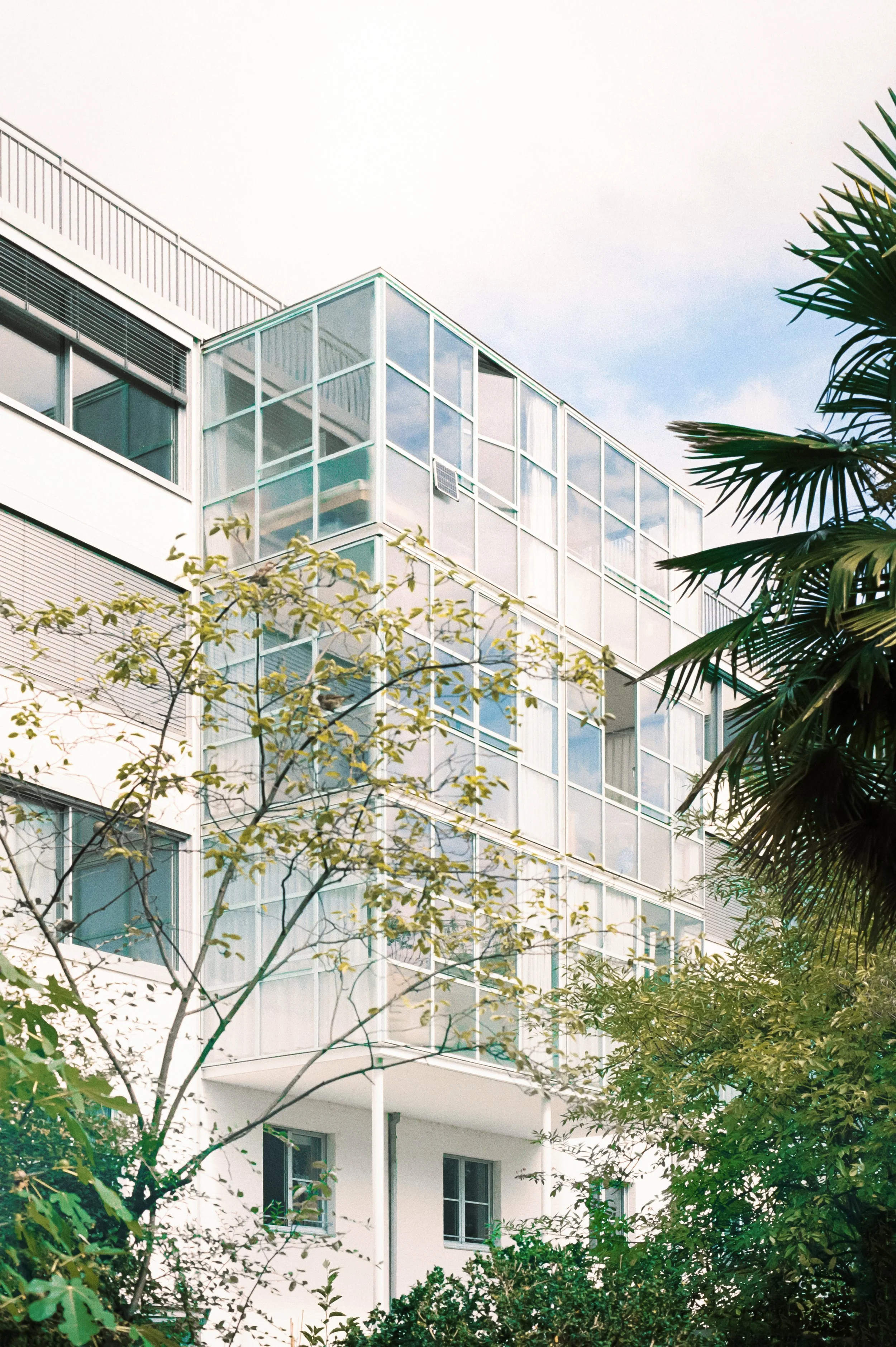 Apartment buildings Hammerstrasse Basel, Diener & Diener Architekten - Winter gardens