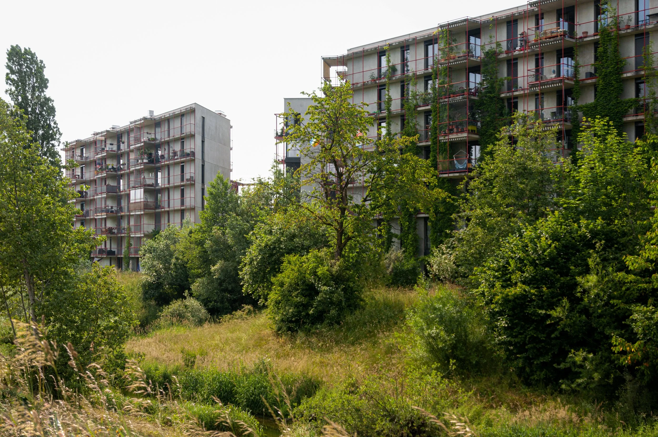 Siedlung Zwicky Süd Dübendorf, Schneider Studer Primas