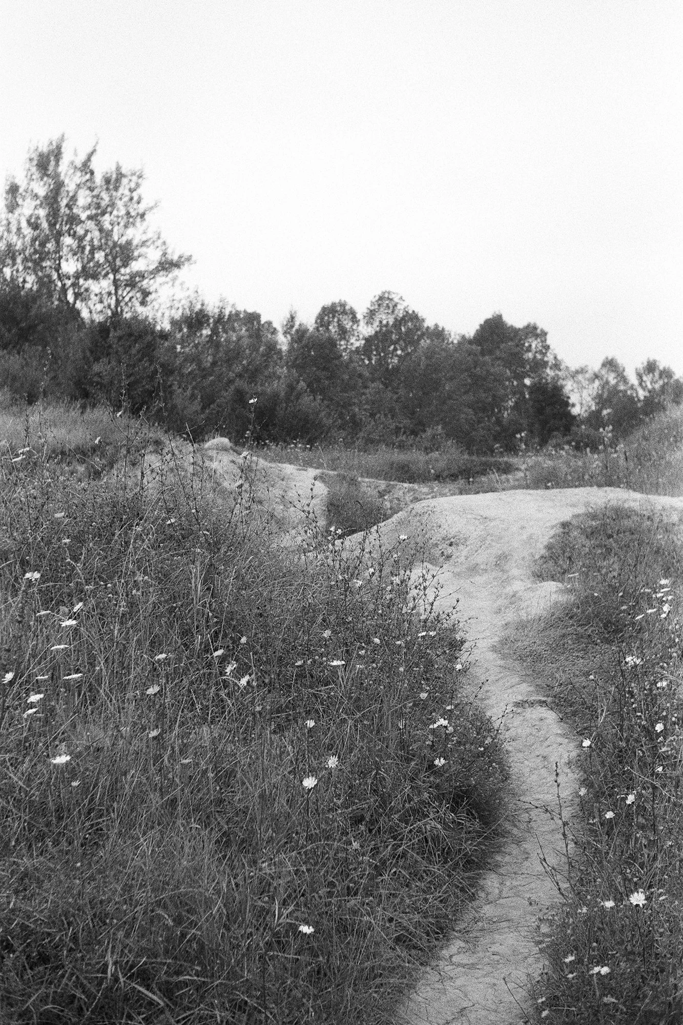 Lacul sărat Telega - Path between middle and upper lakes