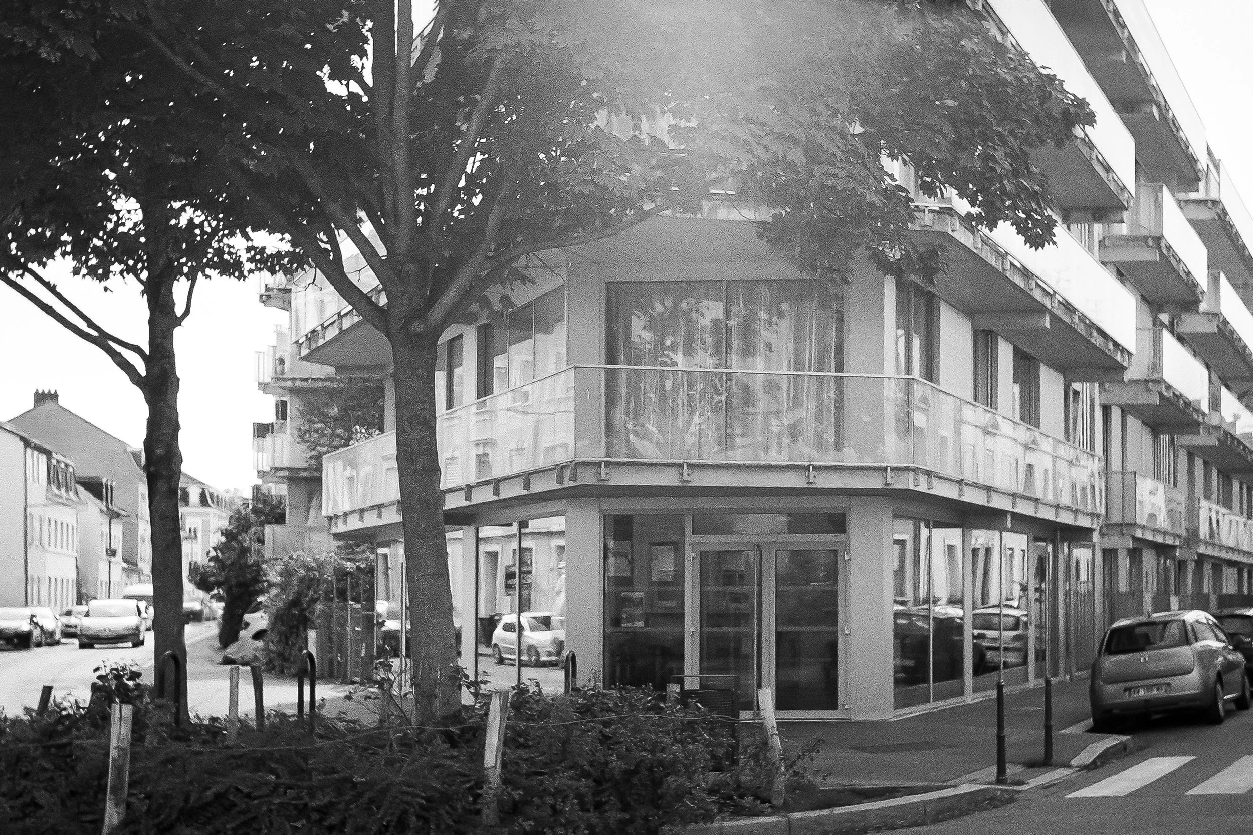 59 Dwellings in Jardin Neppert Mullhouse, Lacaton & Vassal - Street corner