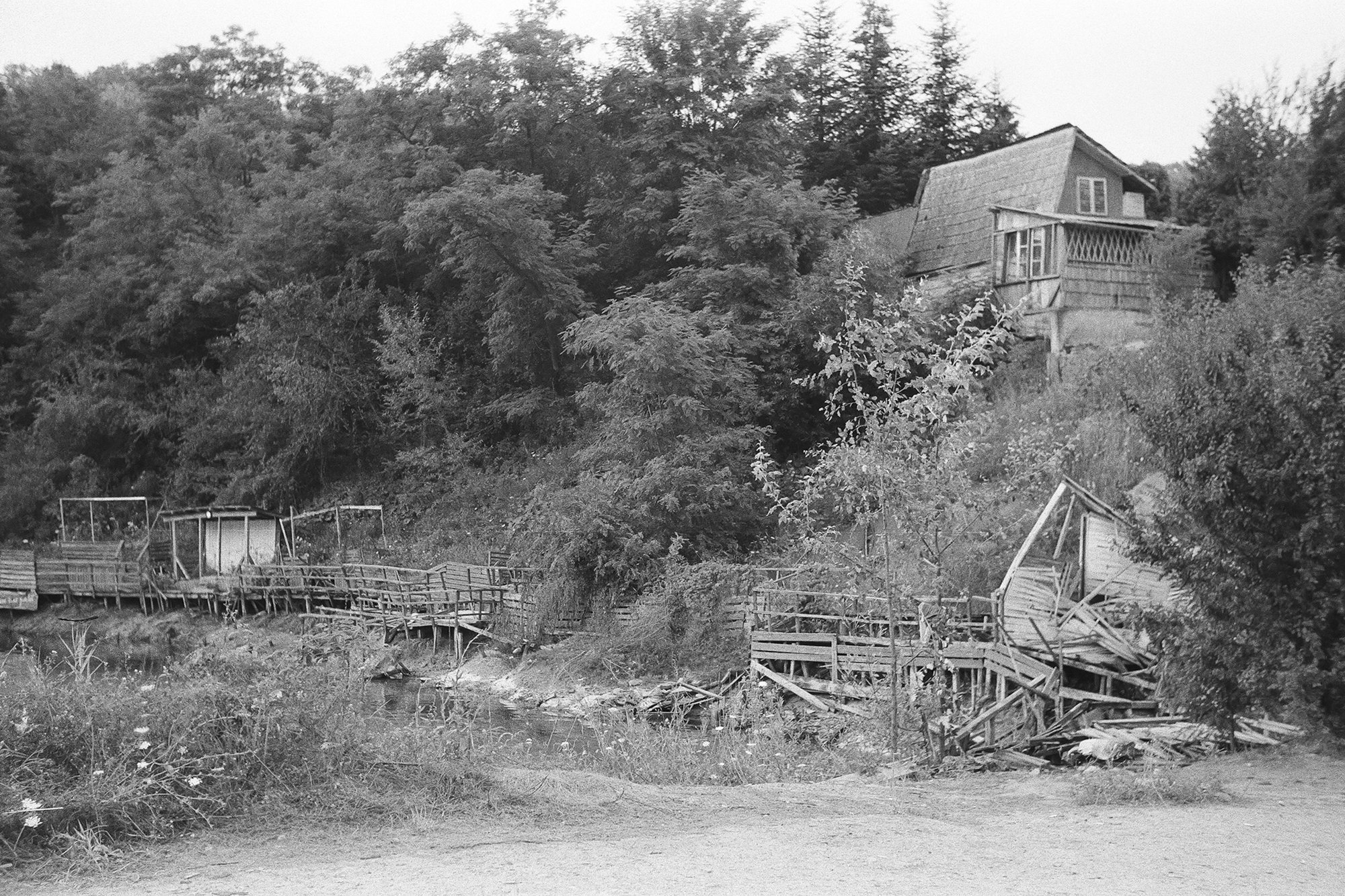 Lacul sărat Telega - House and shrubs above lower lake