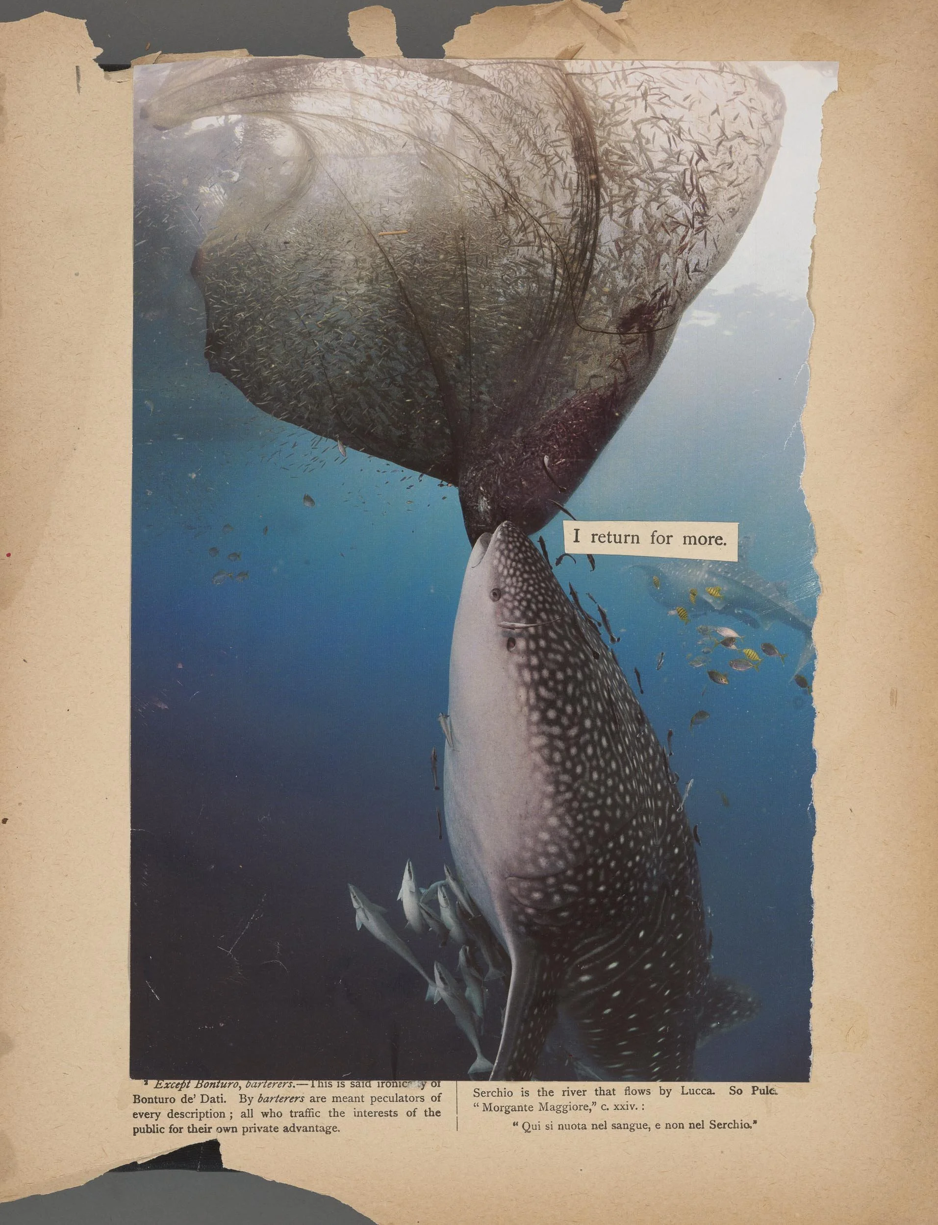 Dante Erasures -212.jpg