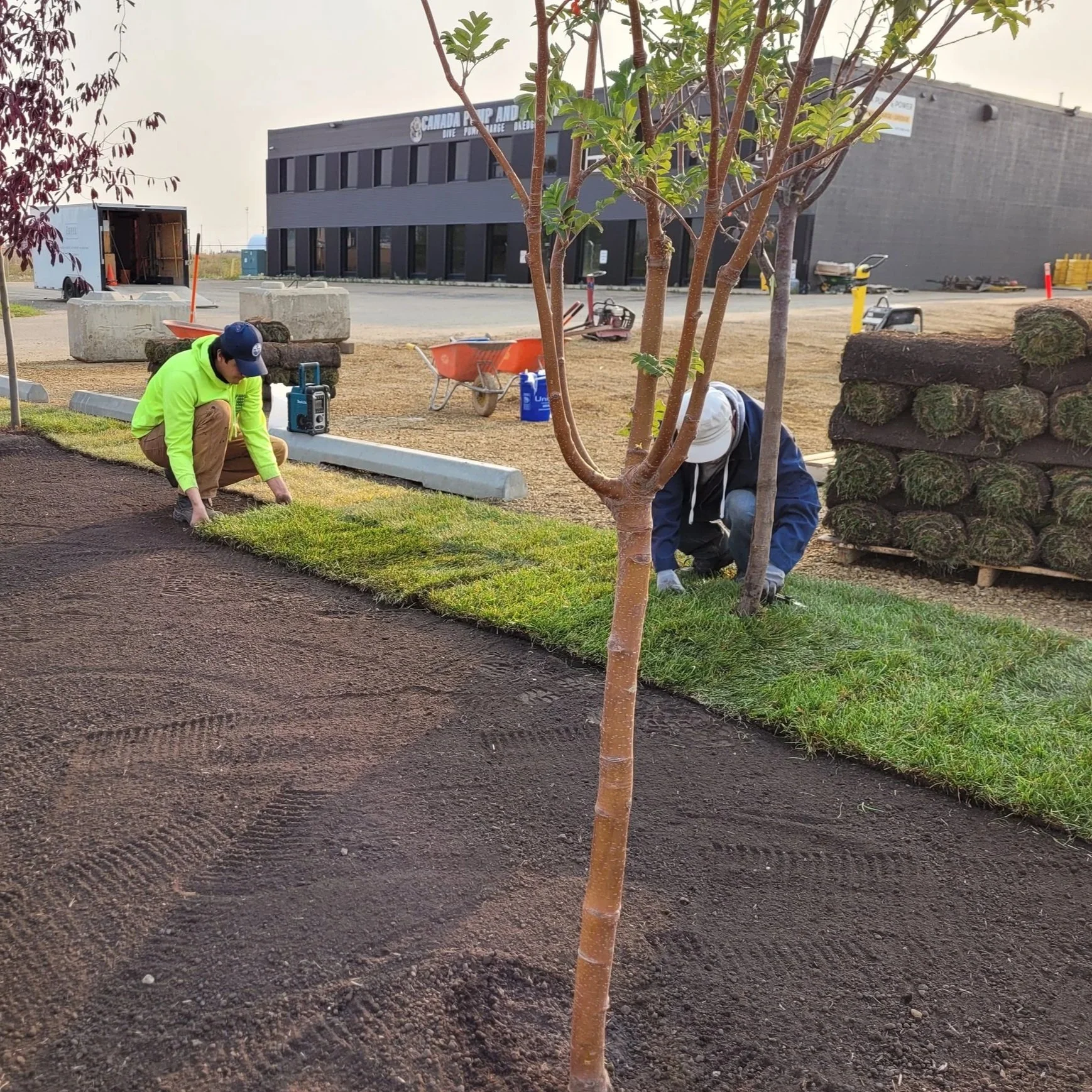 Commercial lanscaping, SOD installation, grading
