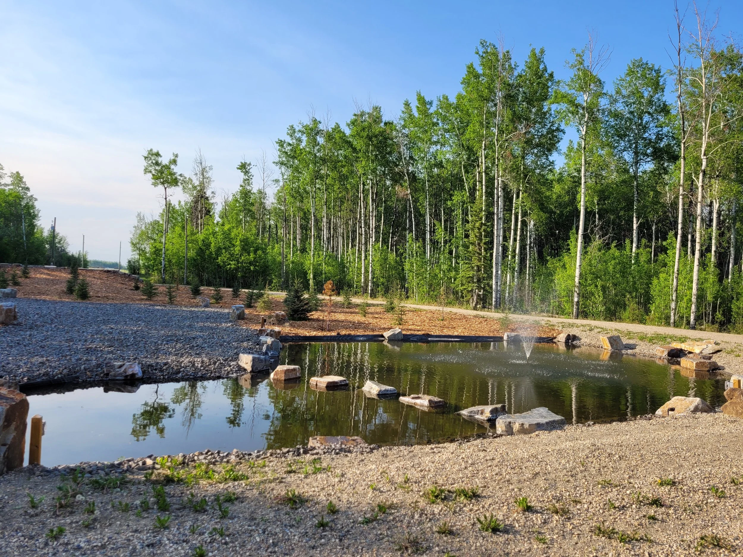 20230527_185136 2.jpg