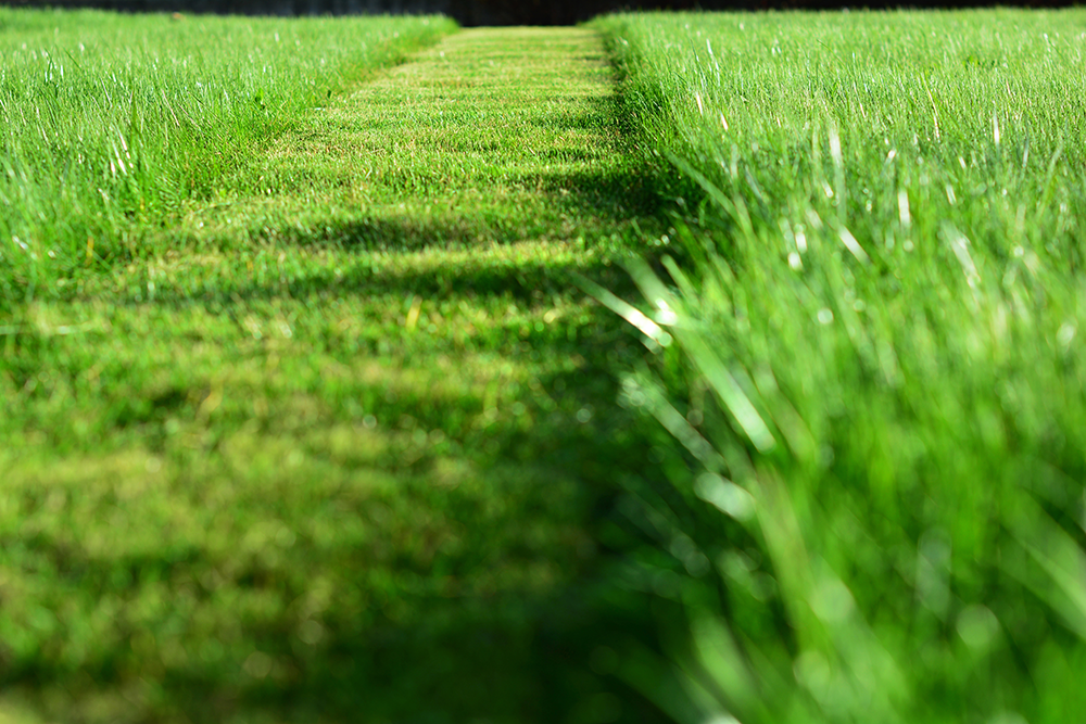 Monthly Mowing Landscaper Chattanooga
