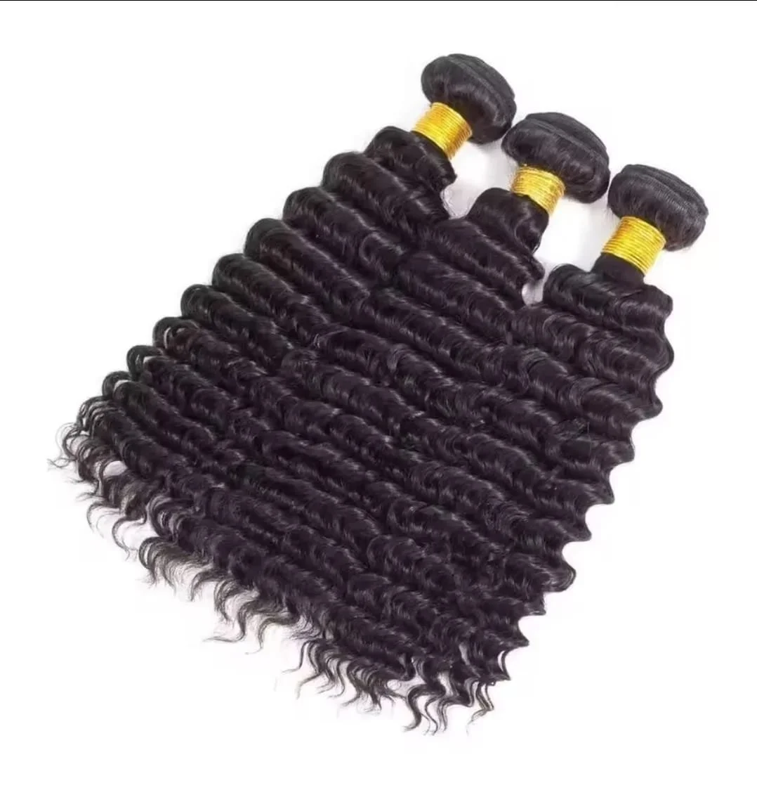 WhatsApp Image 2026-01-24 at 5.30.00 PM.jpeg