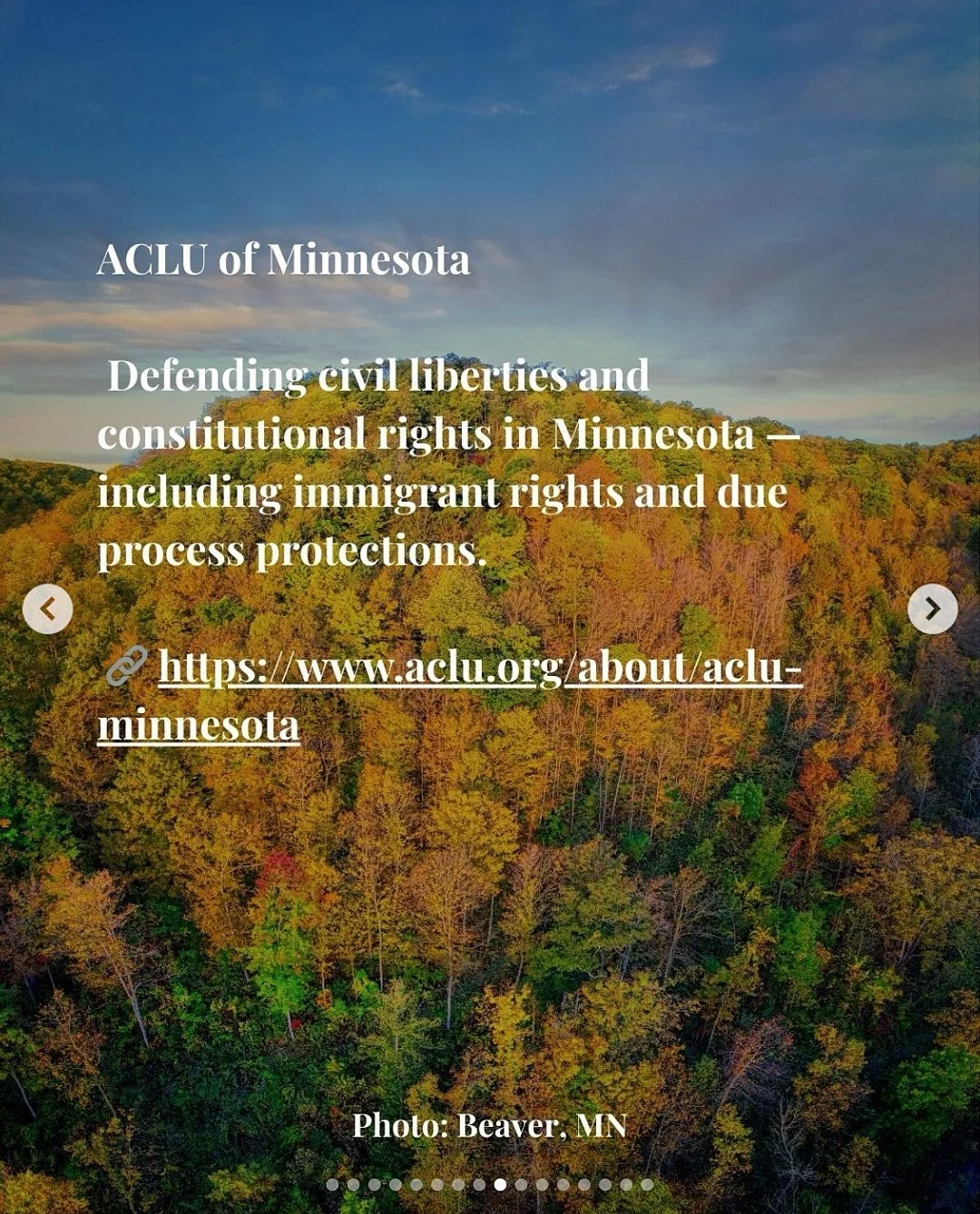 Alt Text: ACLU Of Minnesota, defending civil liberties and constitutional rights in Minnesota - including immigrant rights due to process protections.  