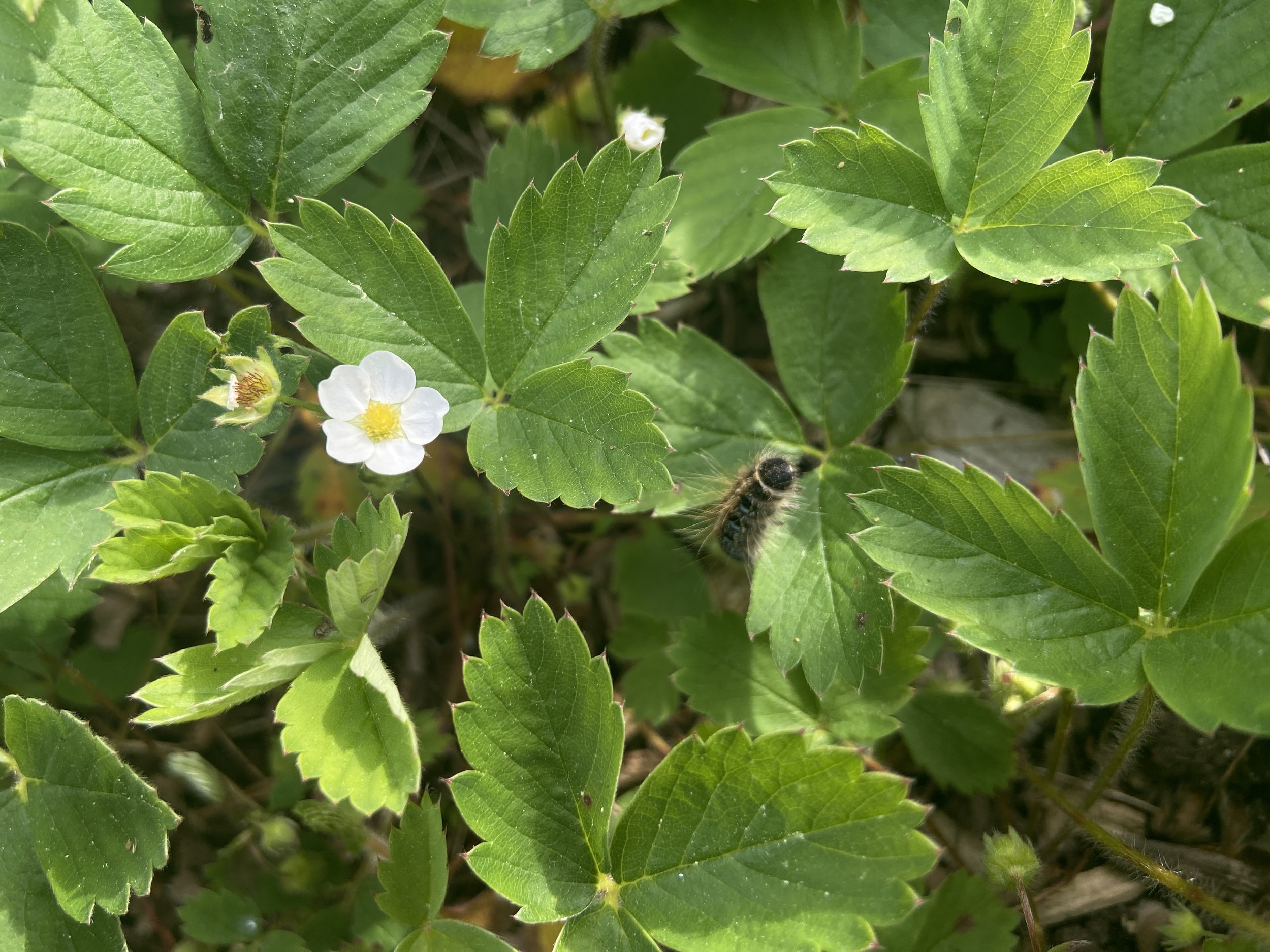 2024-05-24 17.58.12.jpg