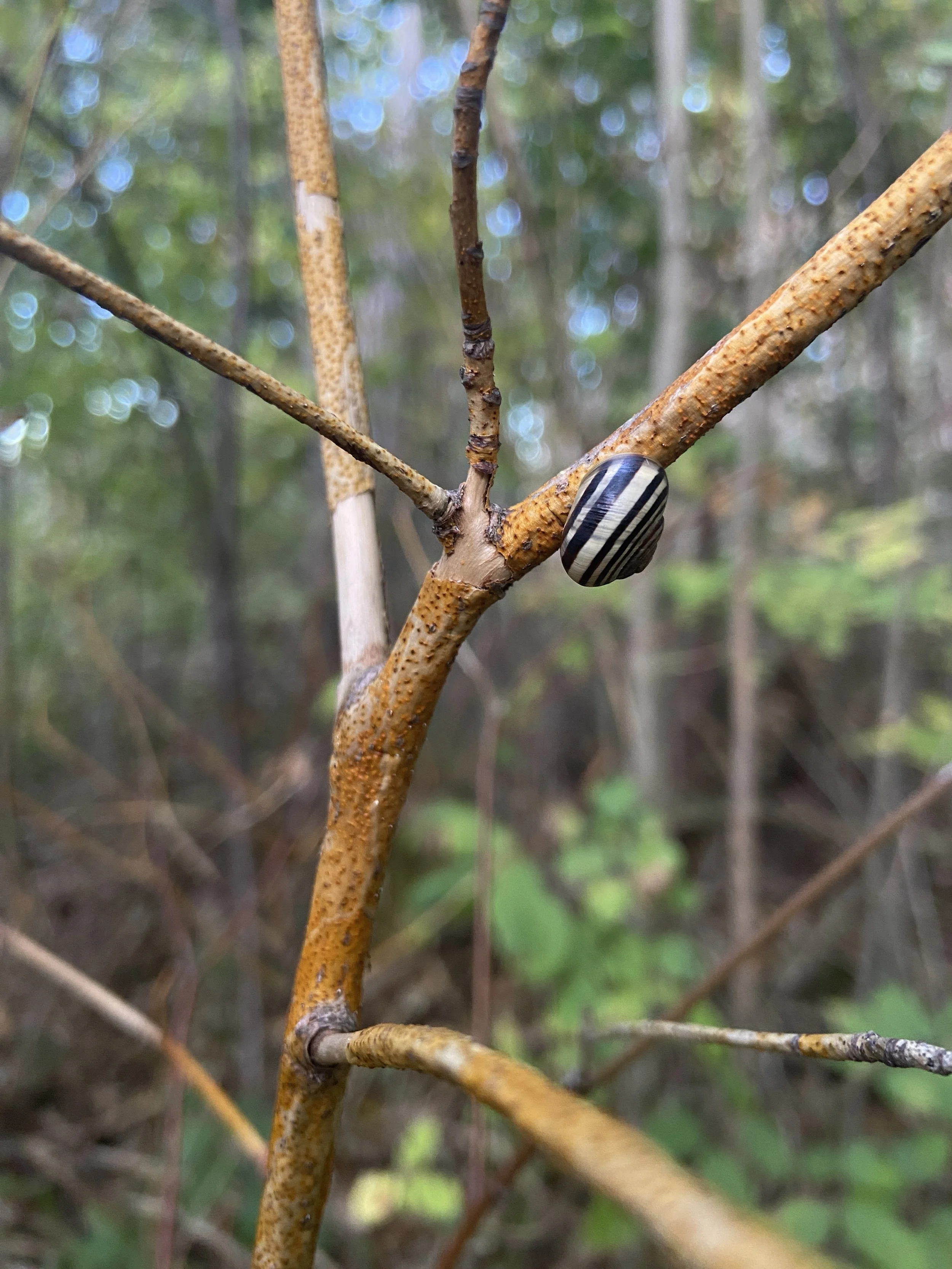 2024-09-26 18.29.51.jpg