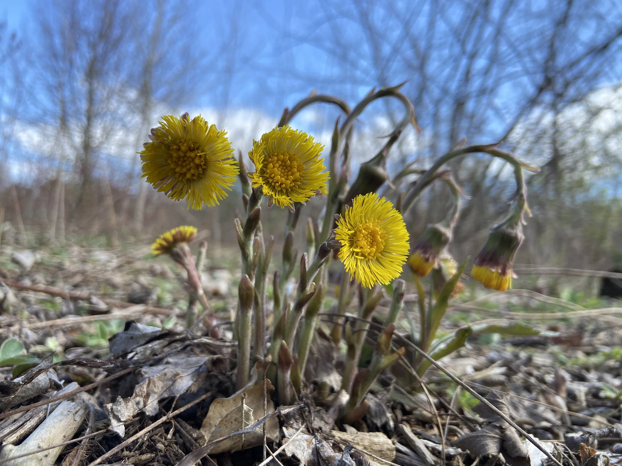 2024-04-21 16.15.00.jpg