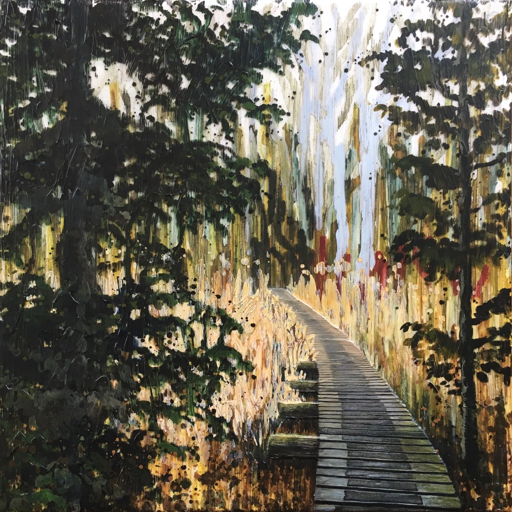 Maitland Woods Boardwalk