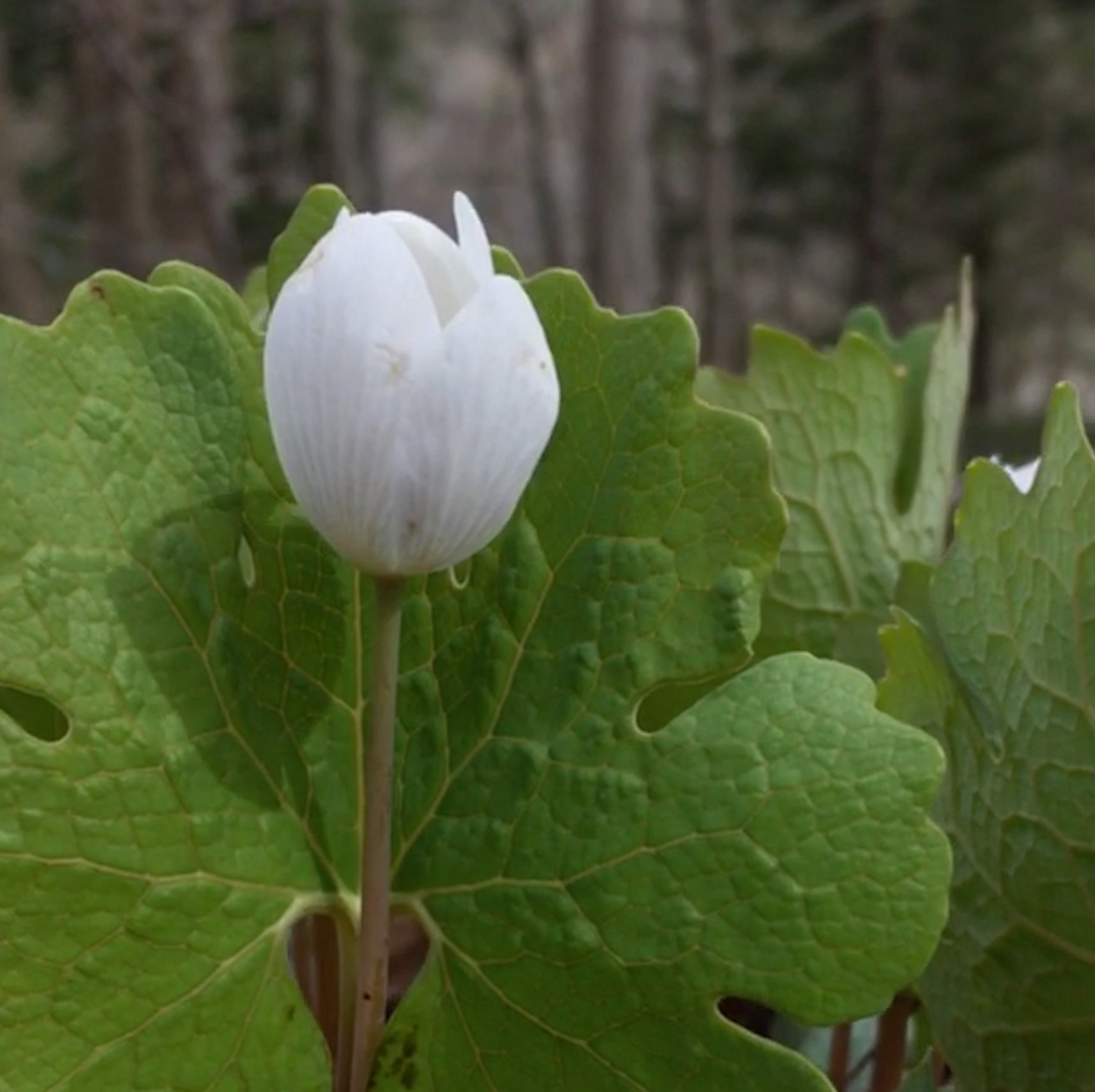 2019-04-27 15.34.14-1.jpg