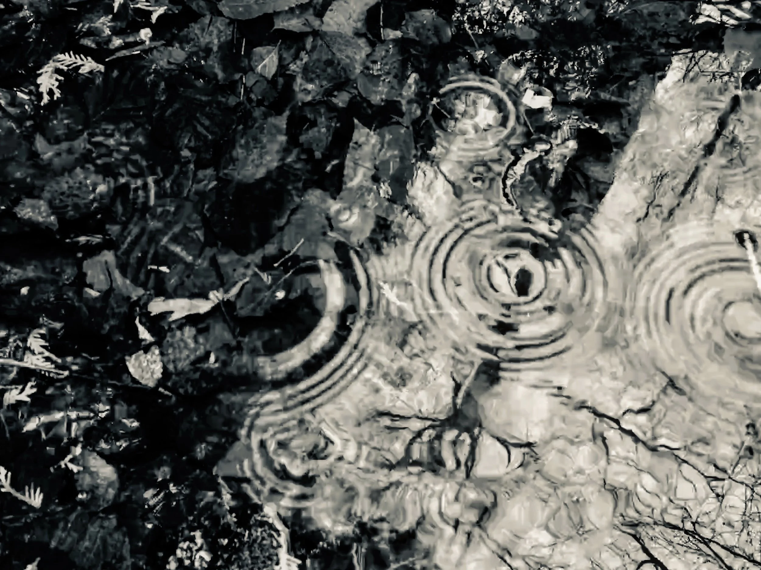 2018-12-15 11.56.53.jpg