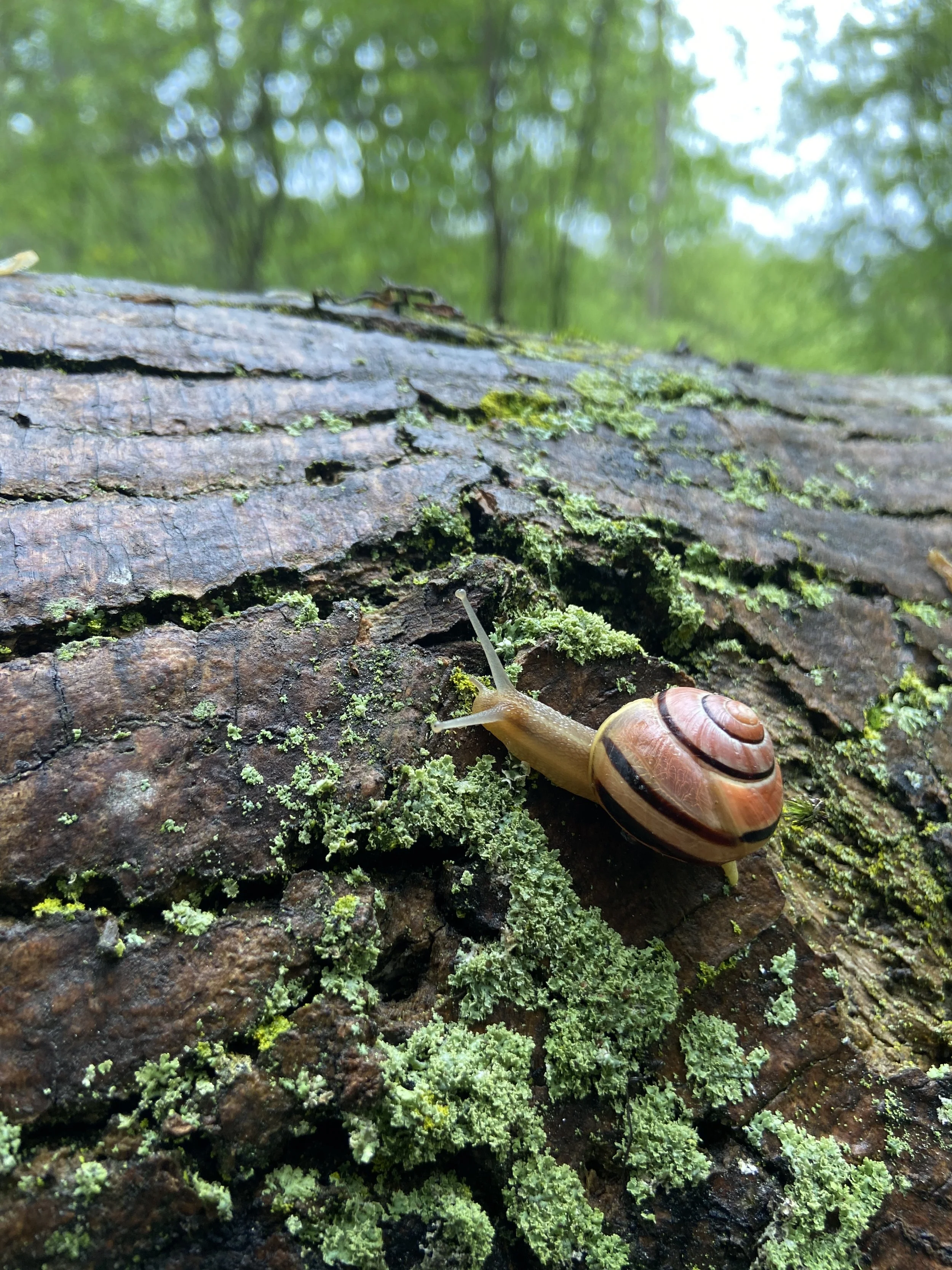 2024-05-11 17.09.46.jpg