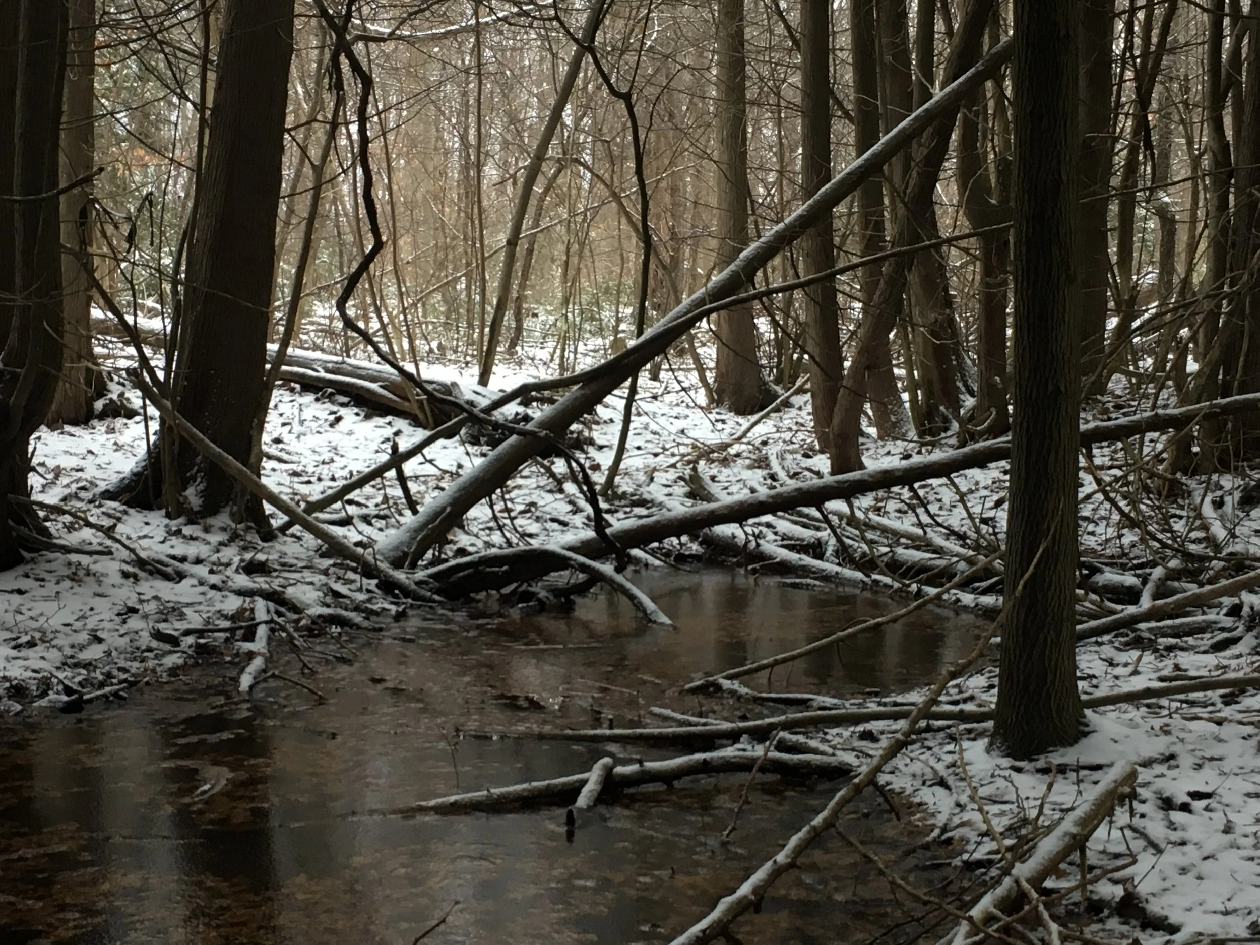 2018-12-29 09.56.20-1.jpg