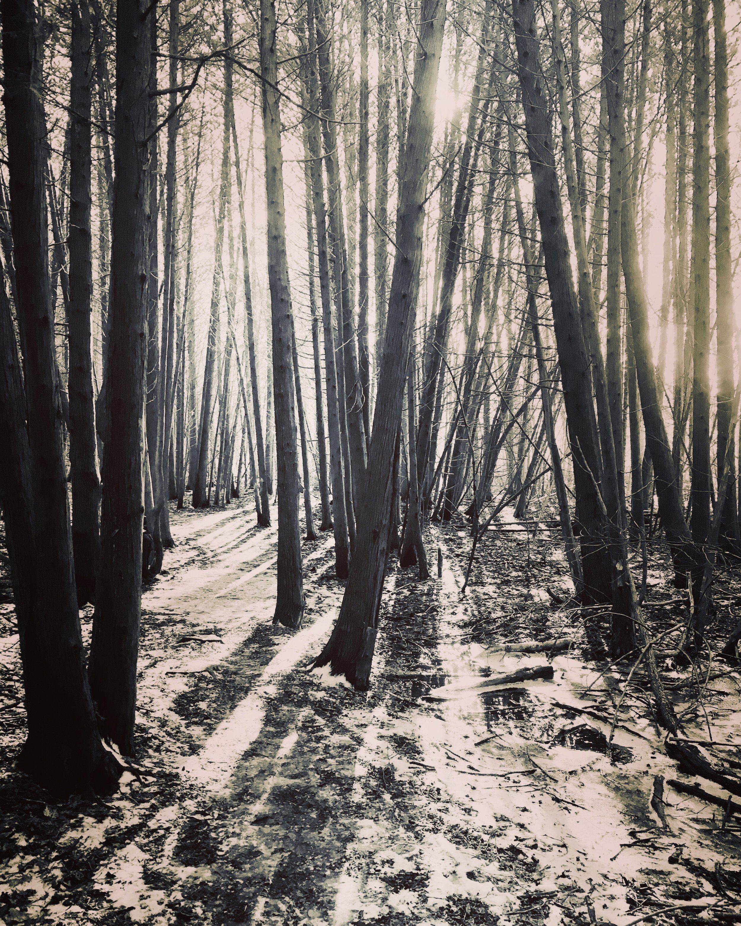 2019-01-05 11.22.24-1.jpg