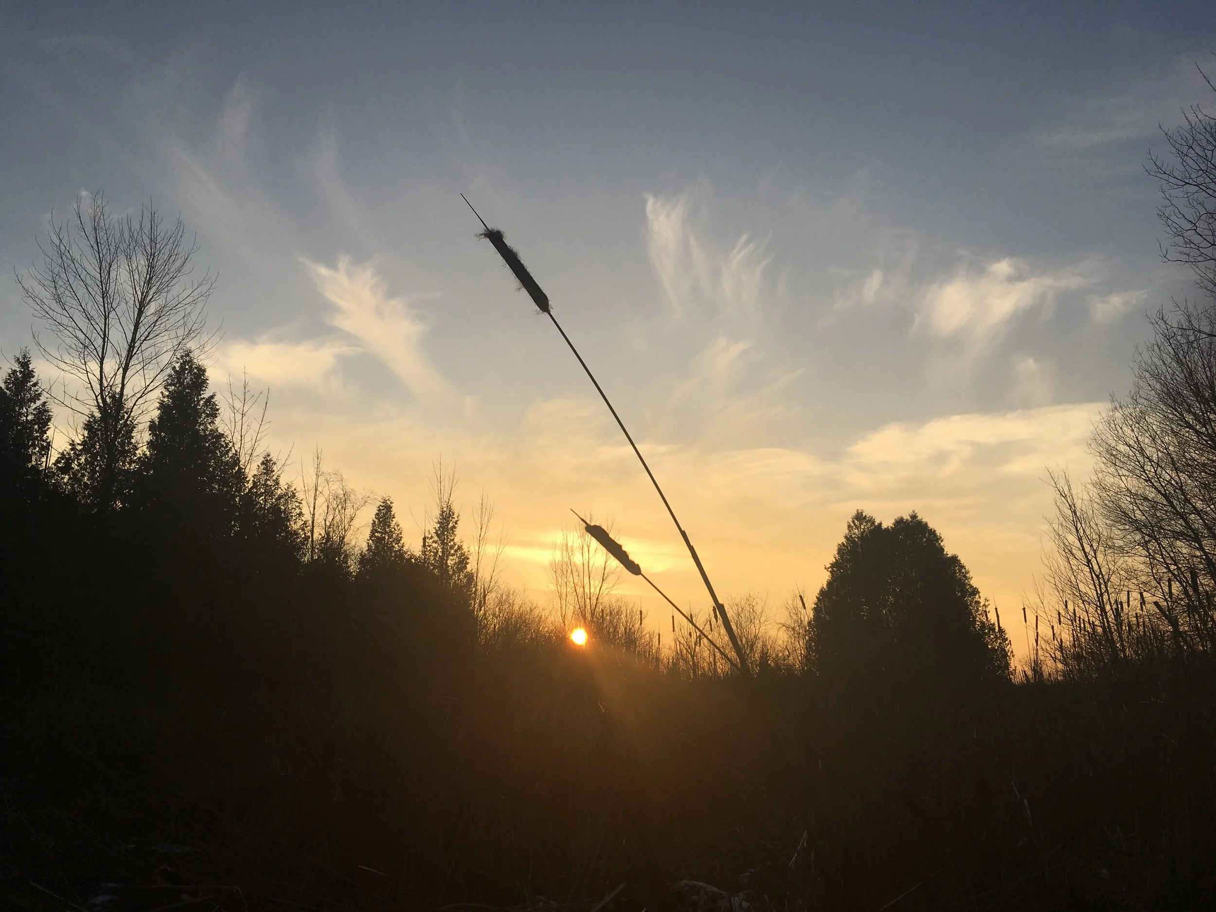 2019-01-05 16.41.18.jpg