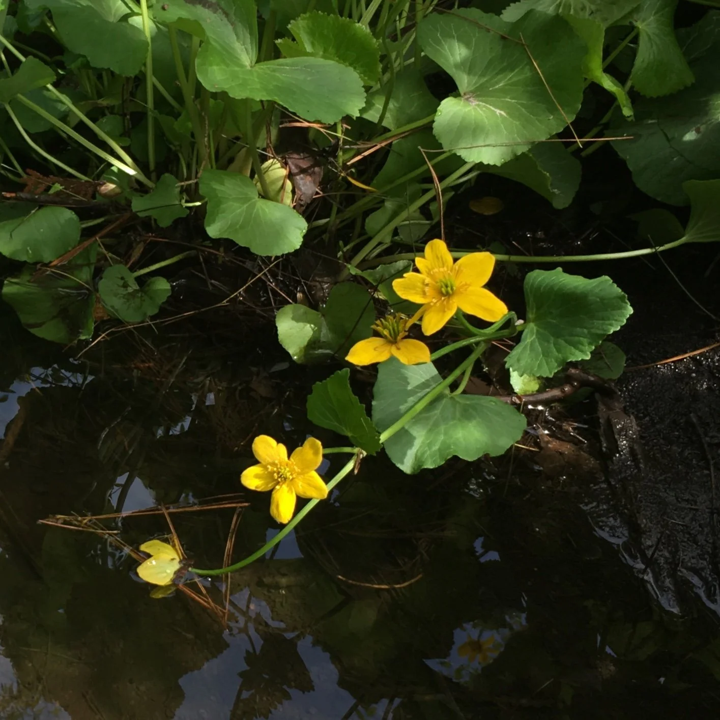 2019-05-26 11.18.25-1.jpg