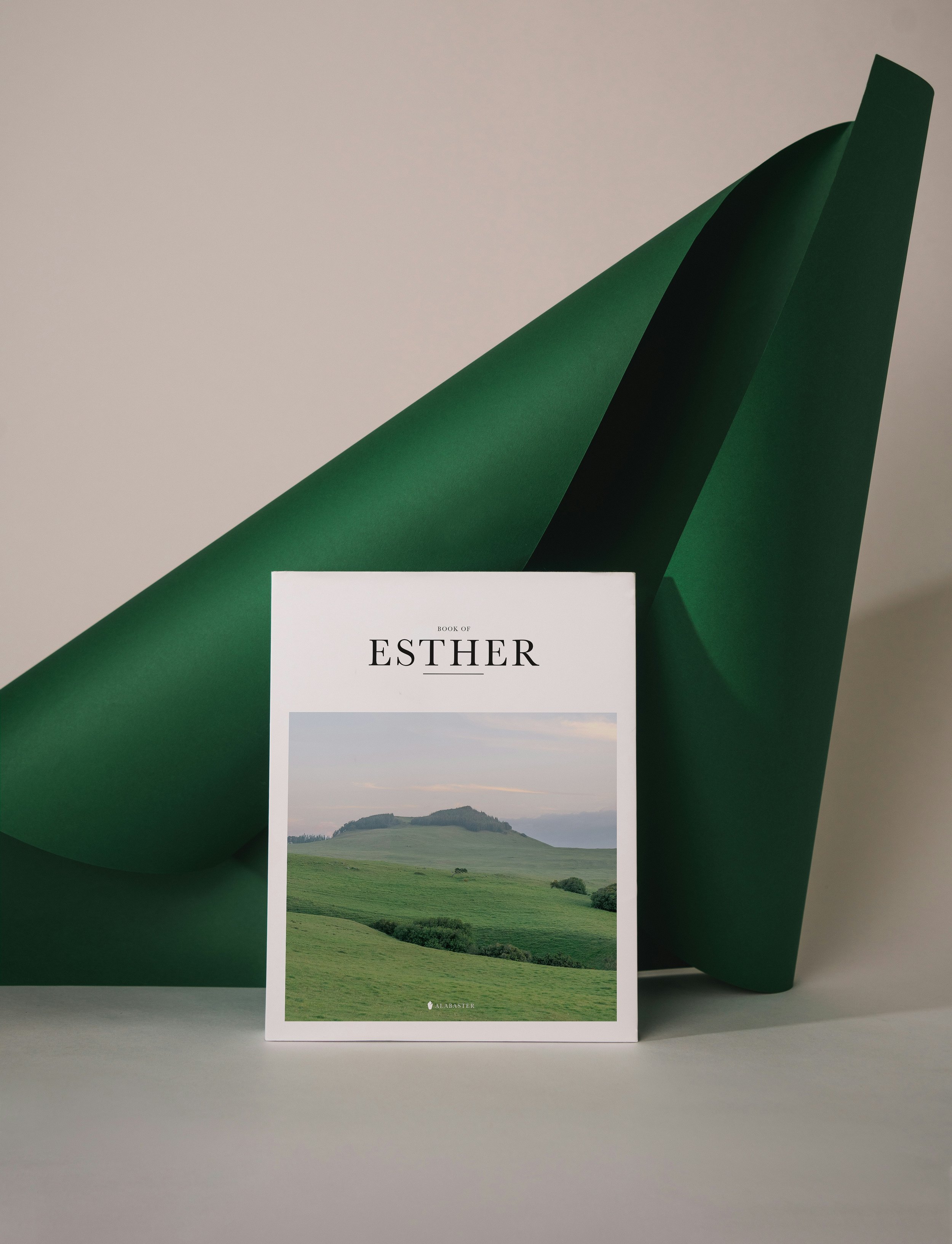 Book titled 'Book of Esther' with a landscape photo of green rolling hills and a small mountain, resting against large green paper sculptures.