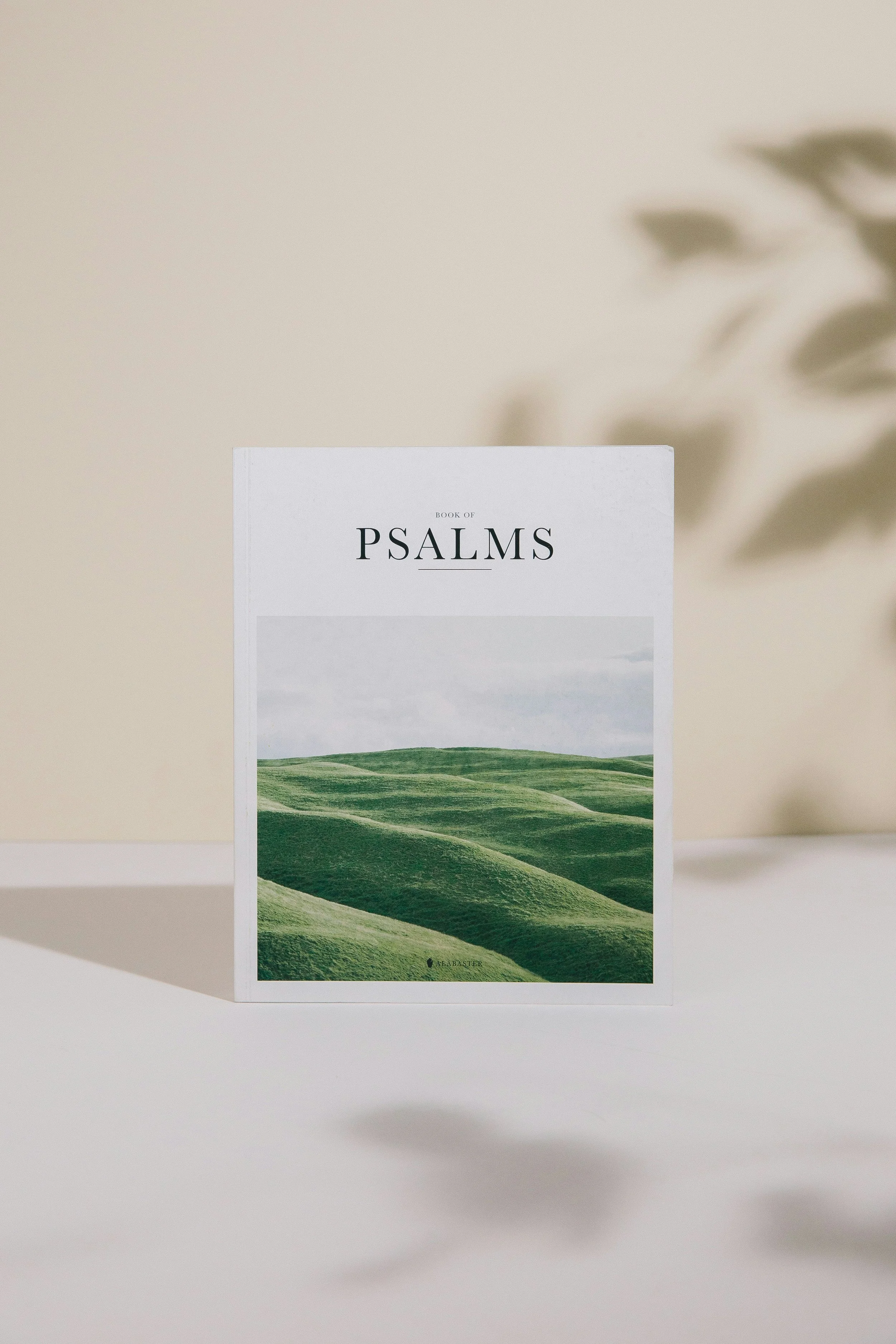A book titled 'Book of Psalms' with a cover image of green rolling hills and a cloudy sky, placed on a white surface with a blurred background.
