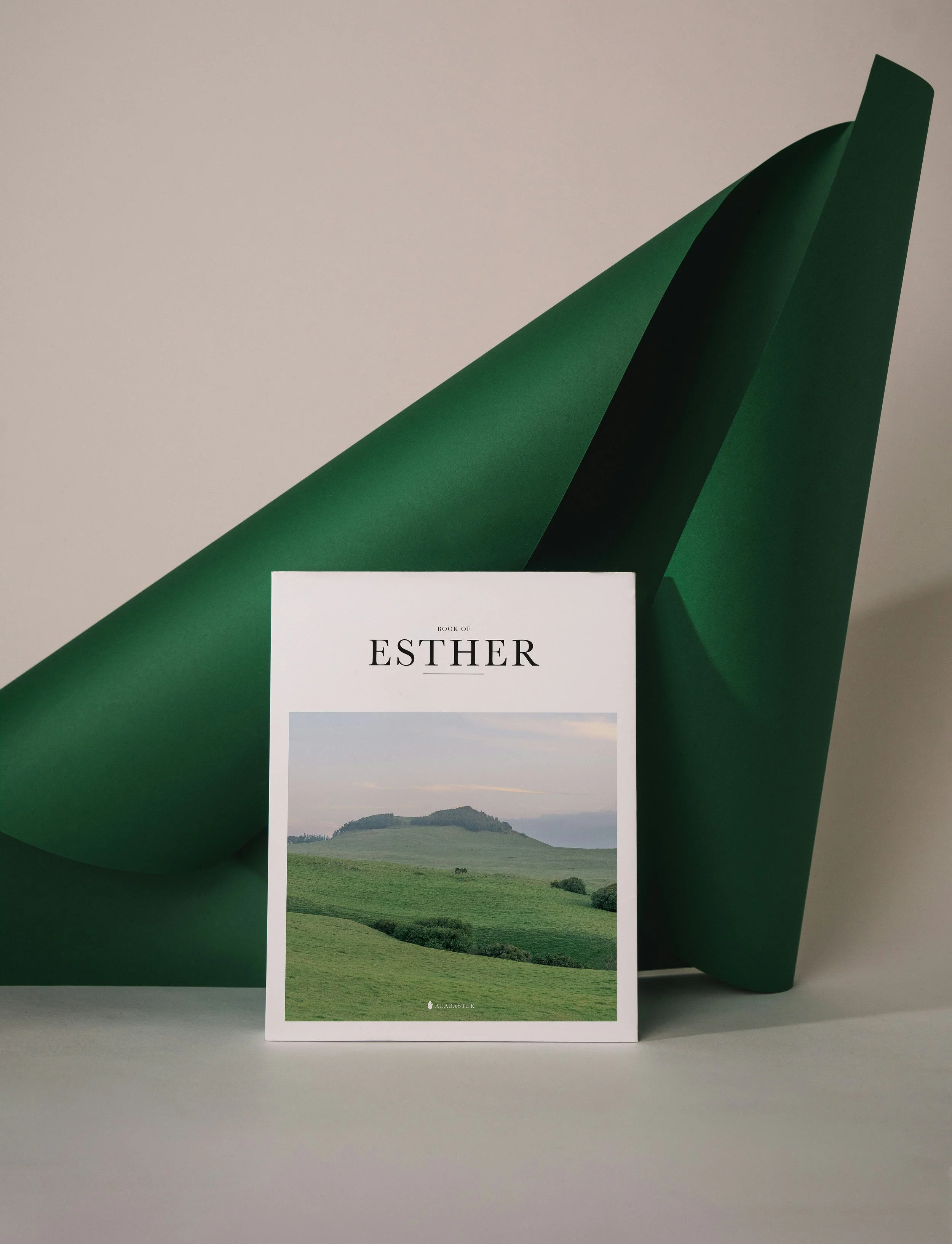 Book titled 'Book of Esther' with a landscape photograph of green hills and a small mountain ridge.