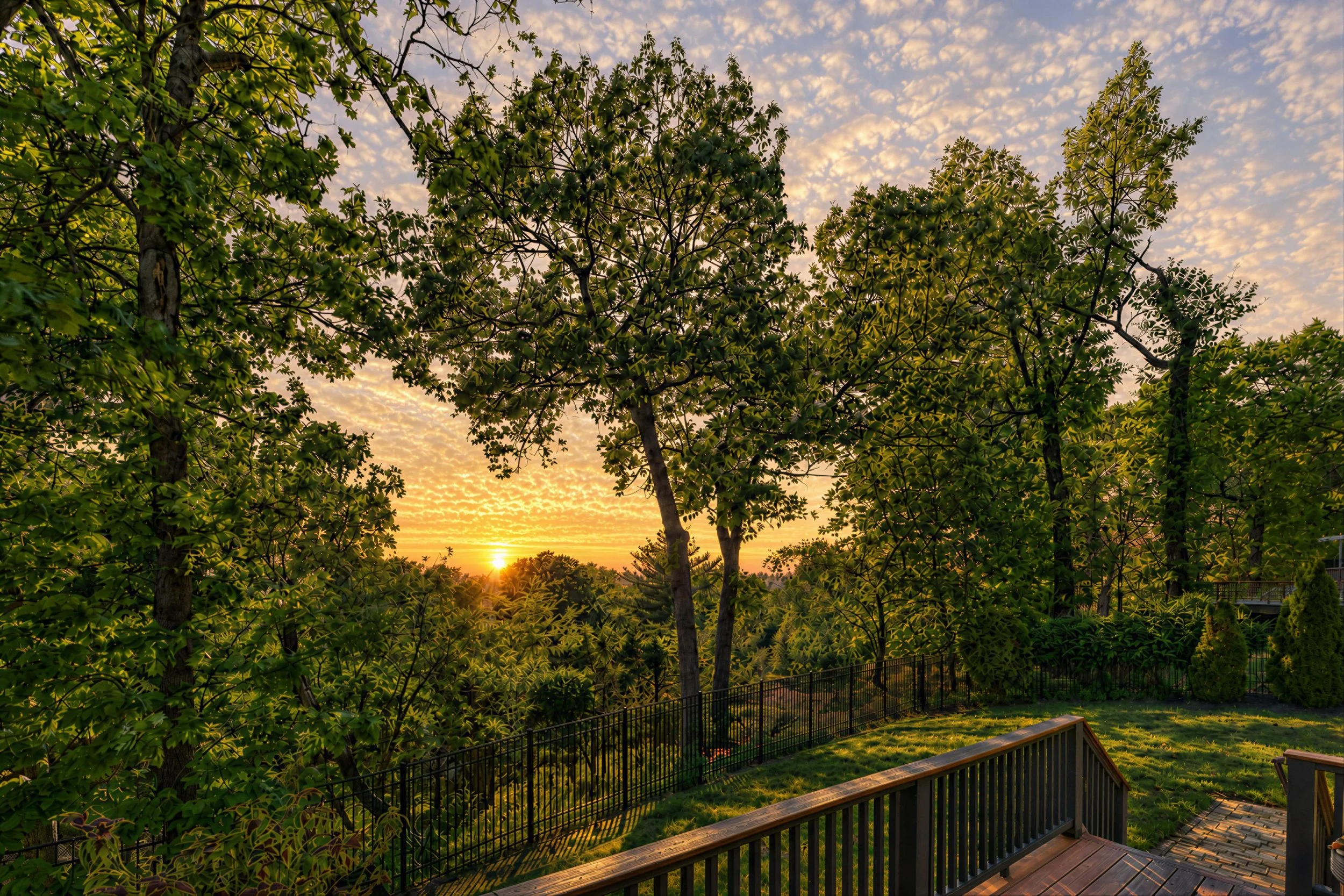 Generational-Creative-Collective-1530MountaintopRoad-MLS-18.jpg