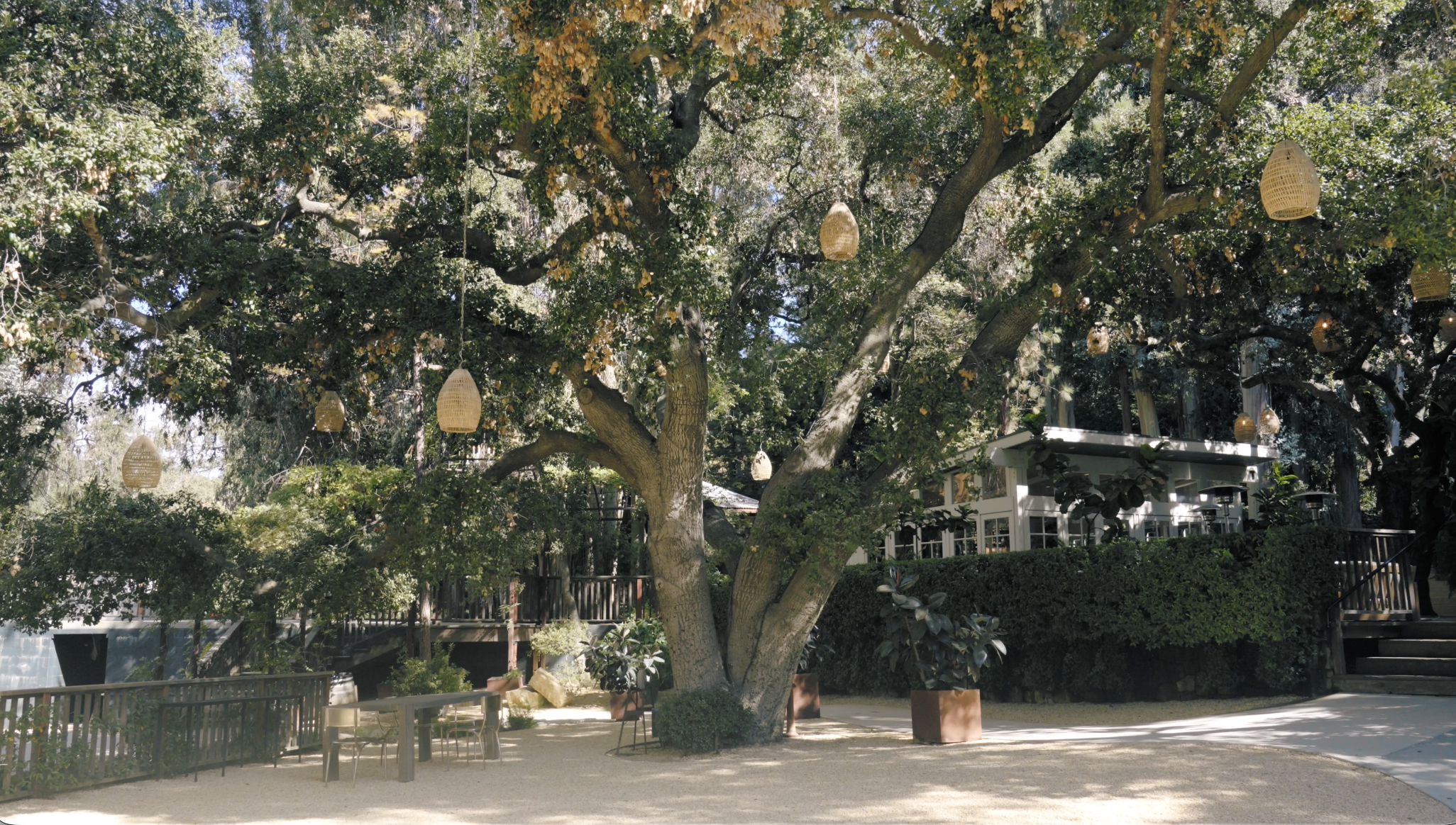 Screenshot 2026-01-26 at 3.24.51 PM.png