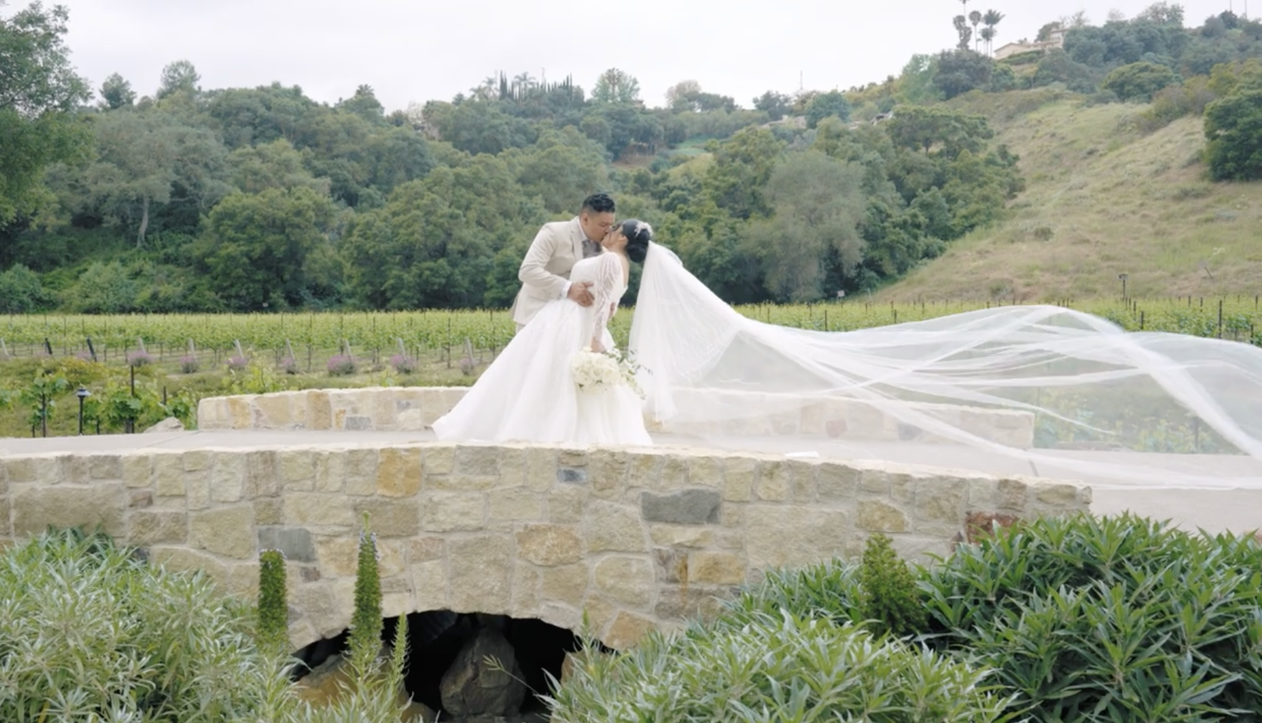 Screenshot 2026-01-28 at 11.49.32 AM.png