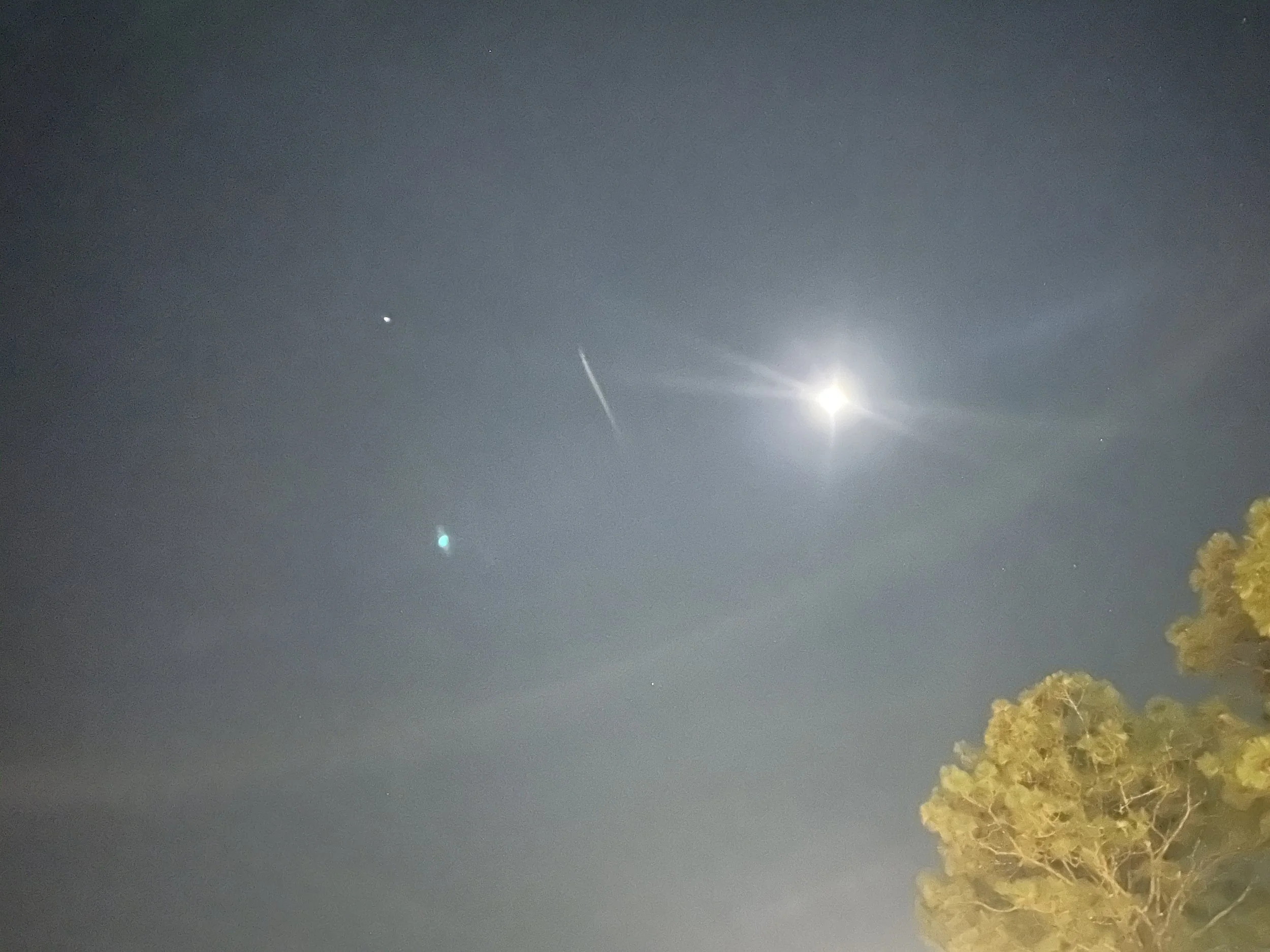 Lost Perseids