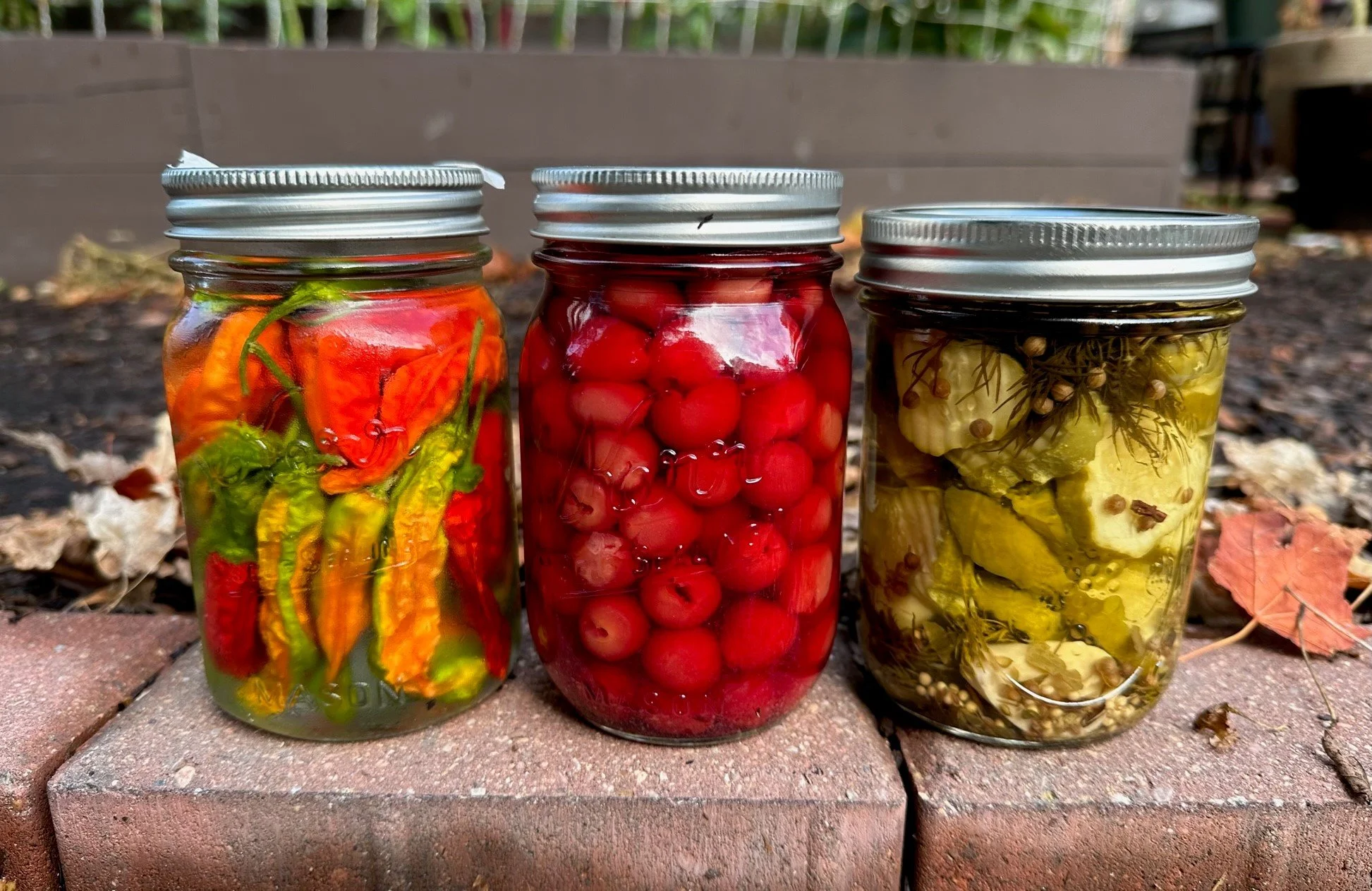 Food Preservation.jpg