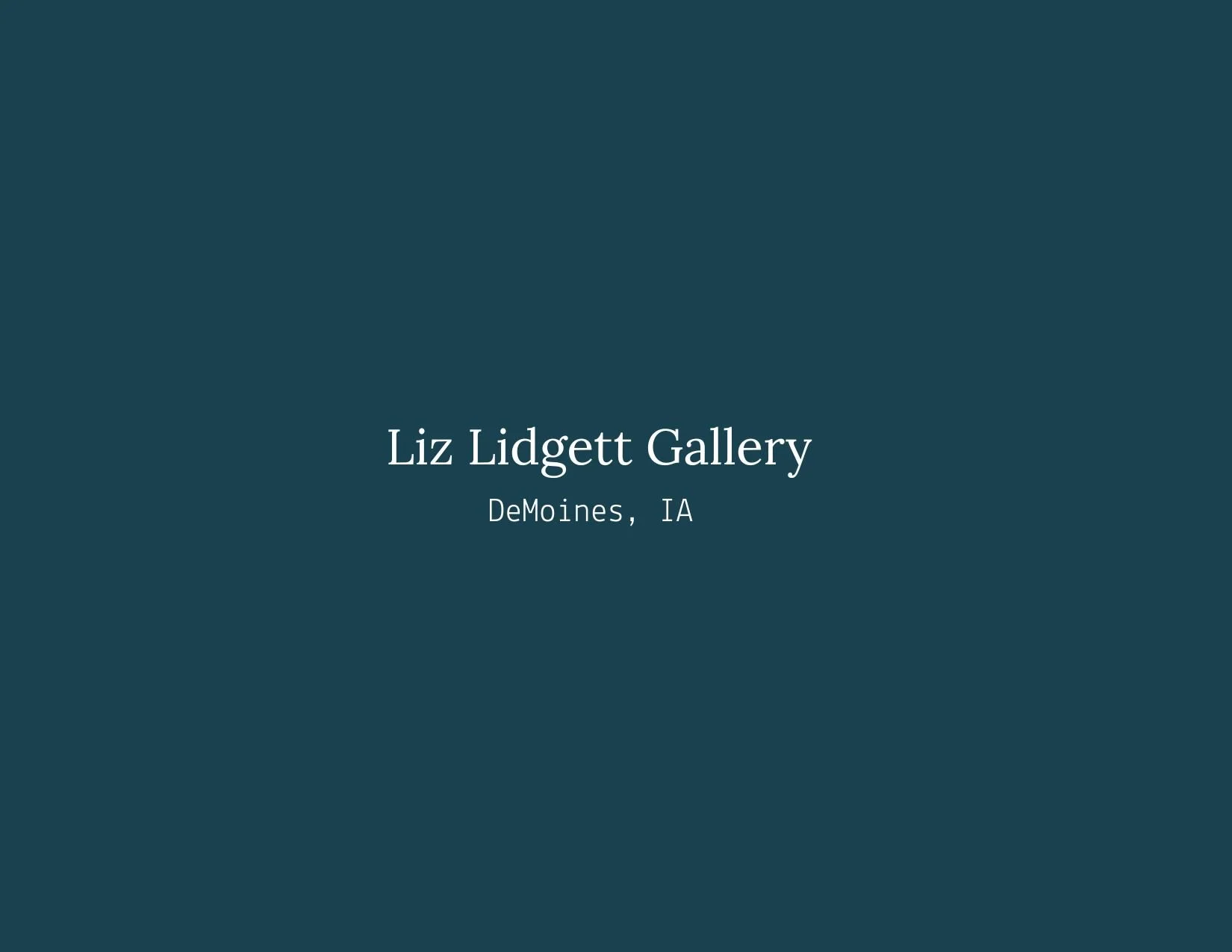 Liz Lidgett Gallery