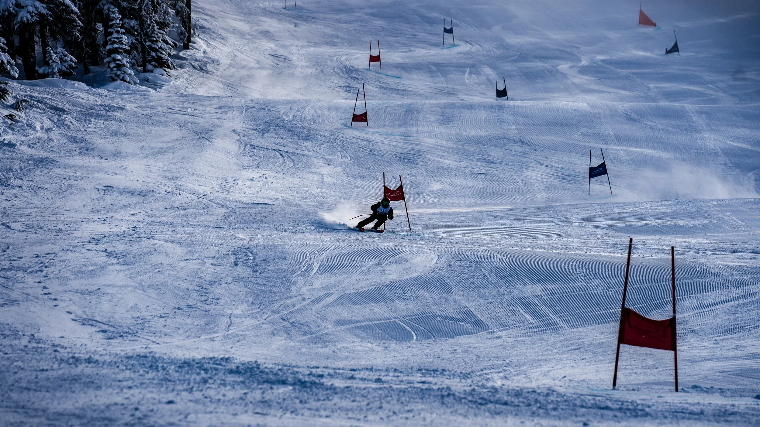 A skier in black gear and a blue helmet racing downhill on a snow-covered ski slope, passing through a slalom course marked by red and blue gates, with snow-covered trees on the left side of the slope.